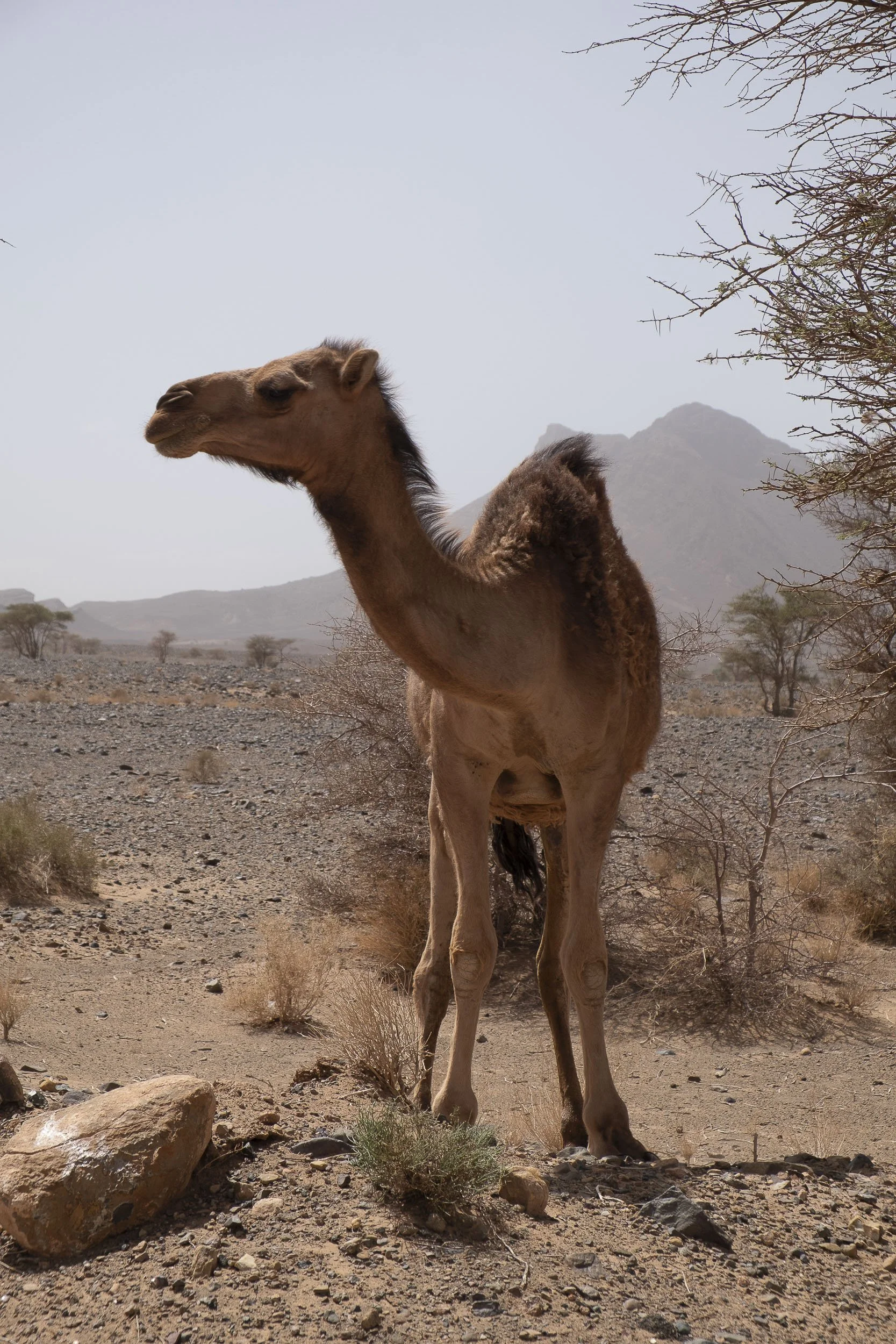 Maroc-2018 ©Julie Carpentier-136.jpg