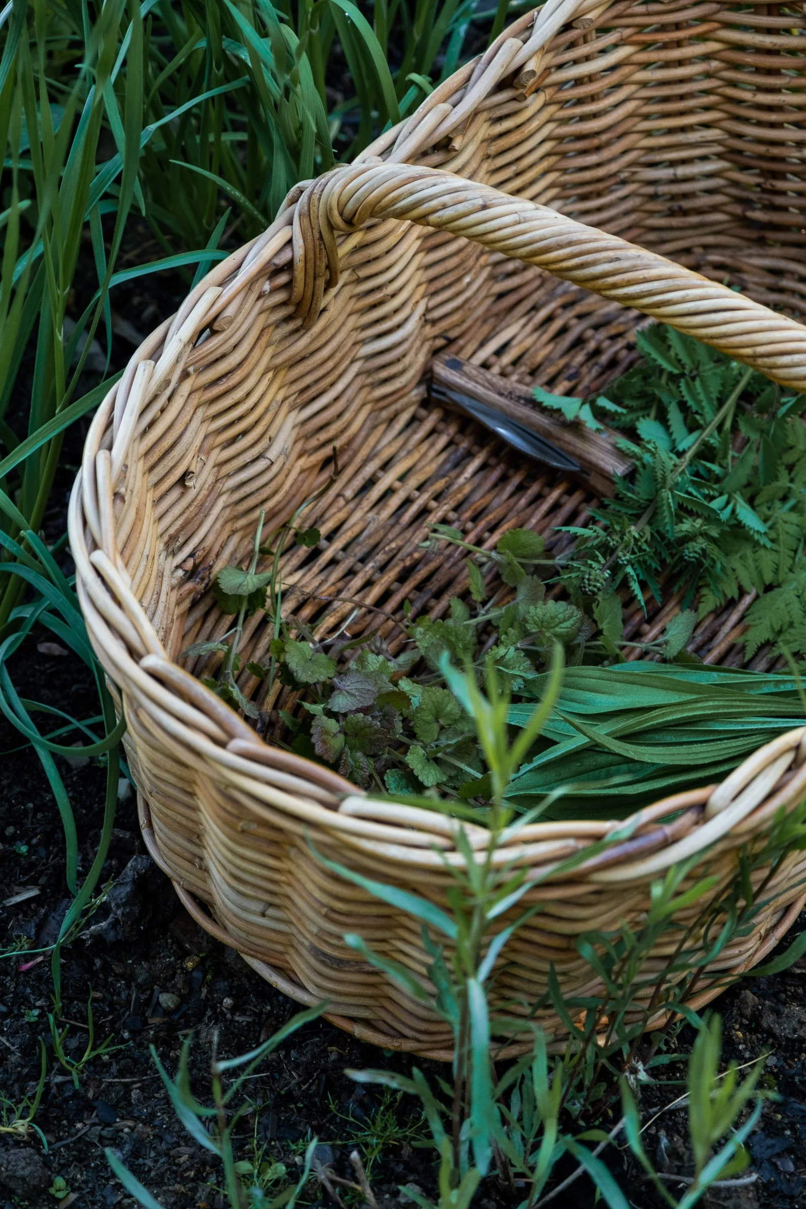 ©Julie Carpentier_Wild North Studio_Manoir du Lys_2021-1990.jpg