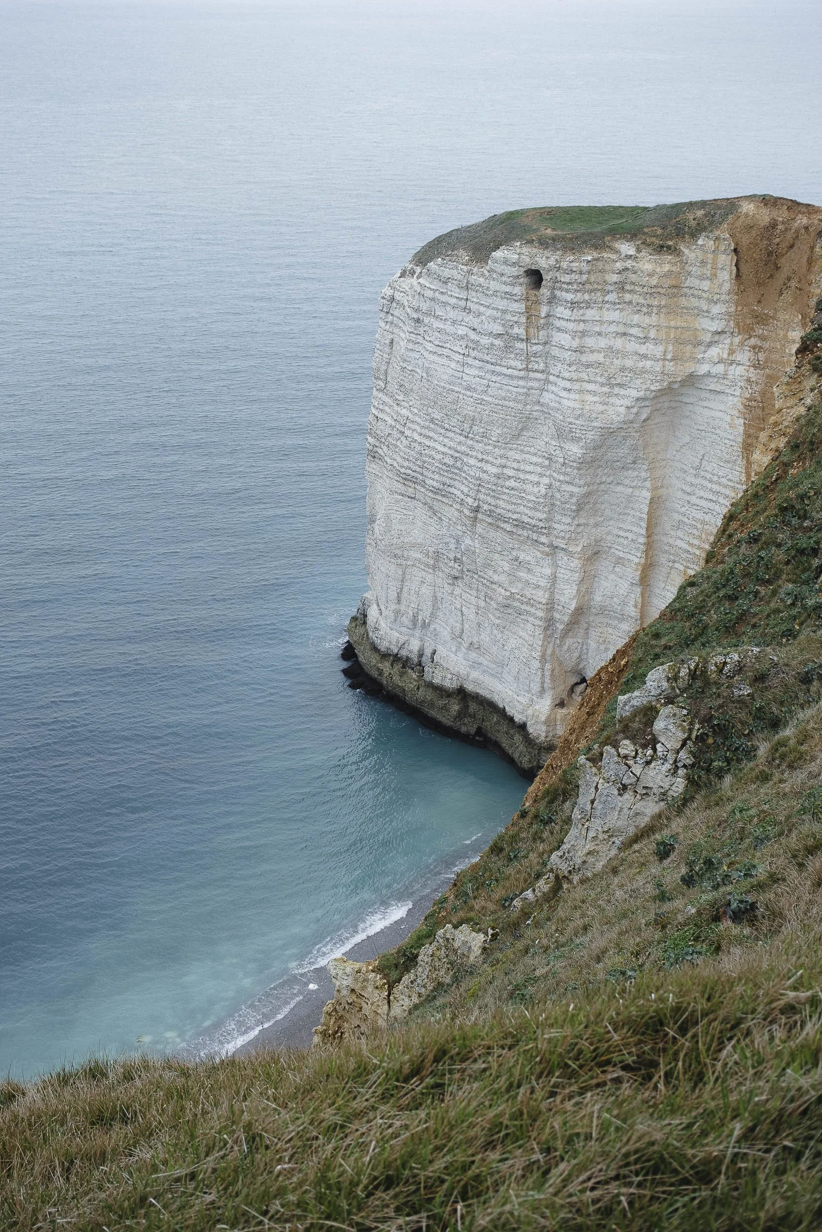 Cote Albatre-2026©Julie Carpentier-26.jpg