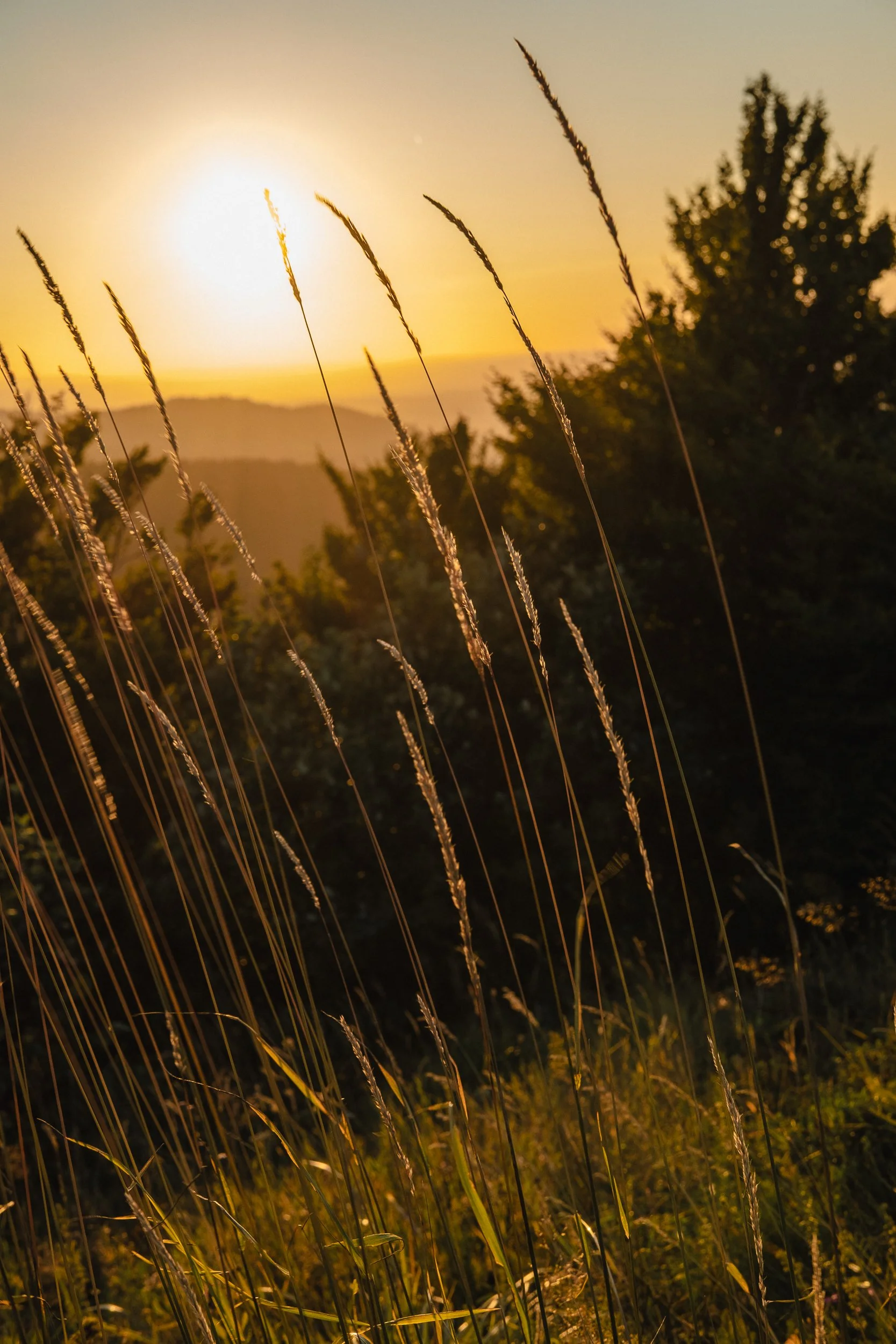 Auvergne © Julie Carpentier_2026-51.jpg