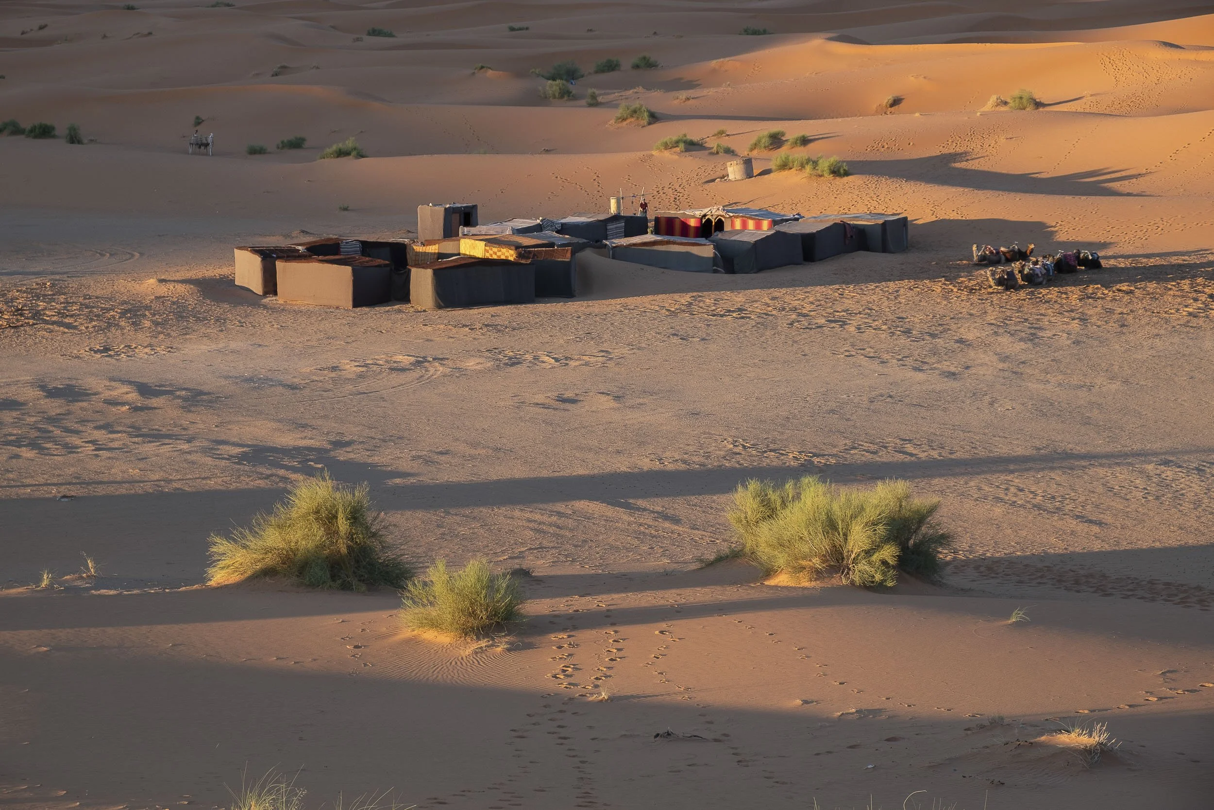 Maroc-2018 ©Julie Carpentier-131.jpg
