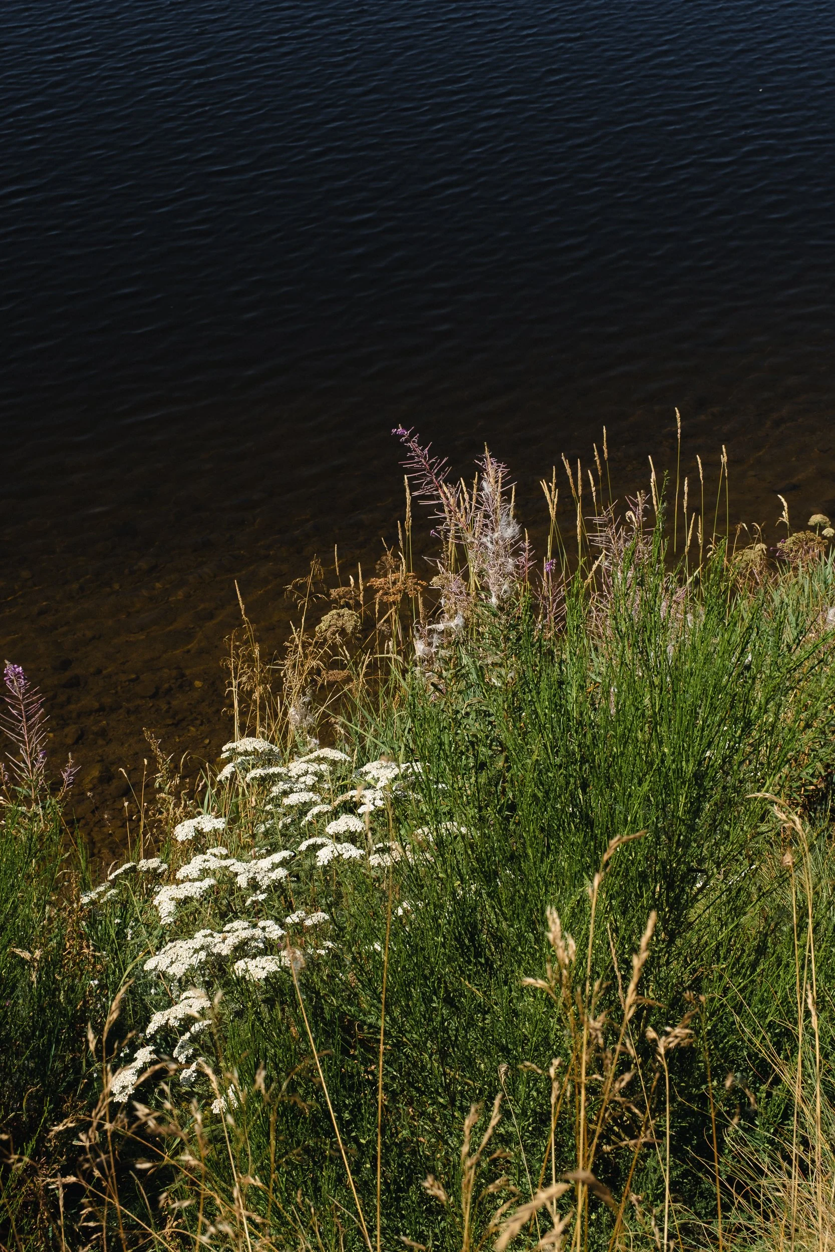 Auvergne © Julie Carpentier_2026-34.jpg