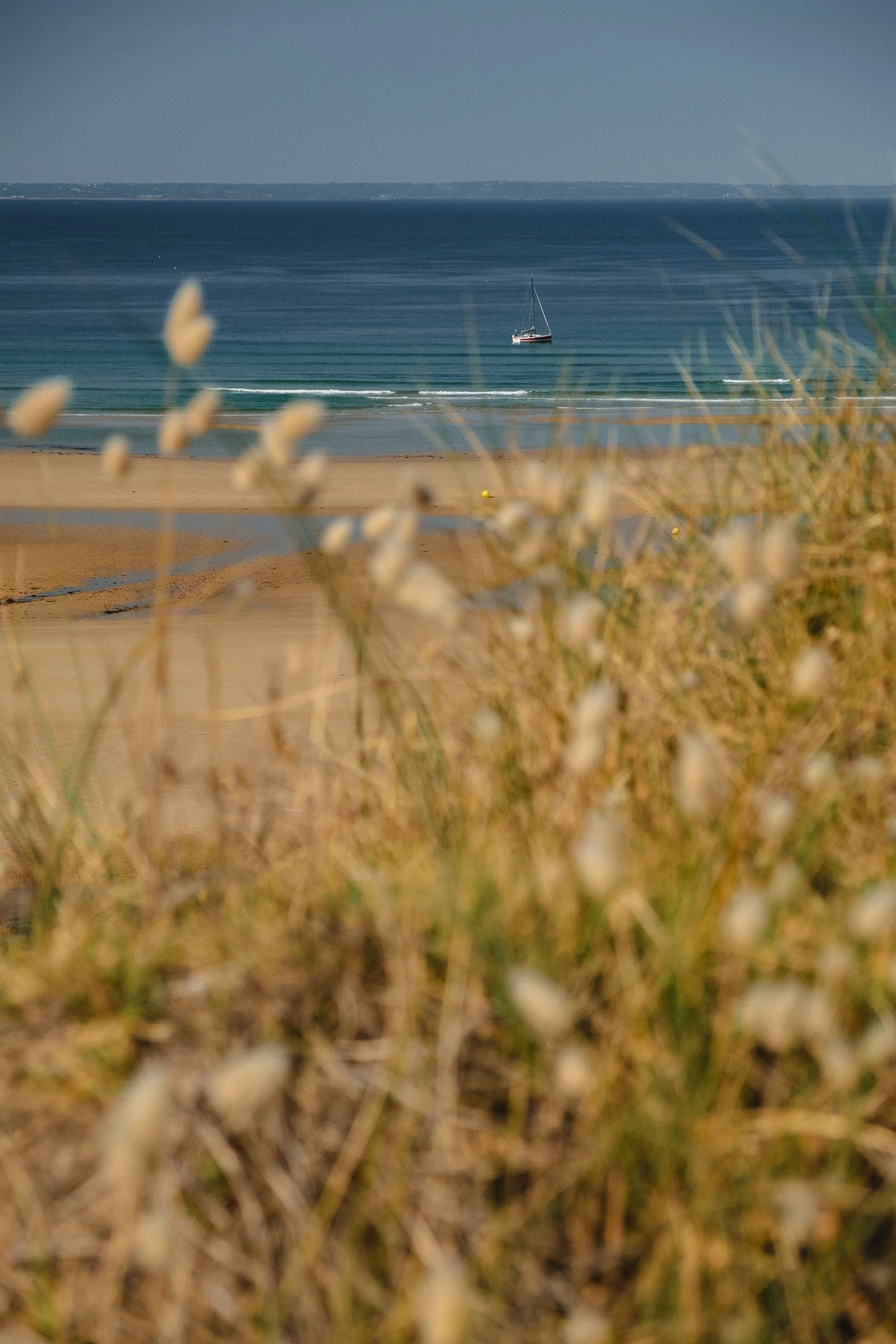 Cotentin © Julie Carpentier_2026-13.jpg