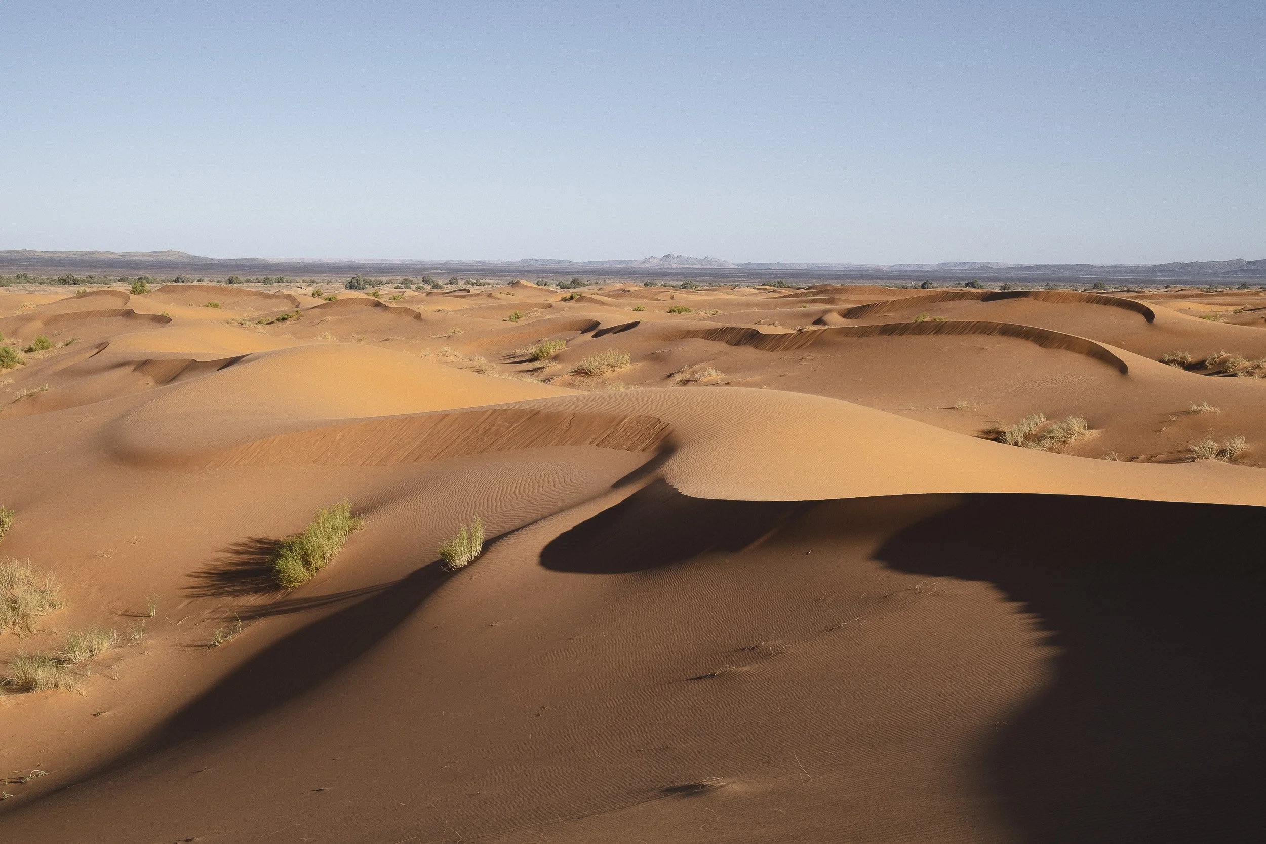 Maroc-2018 ©Julie Carpentier-115.jpg