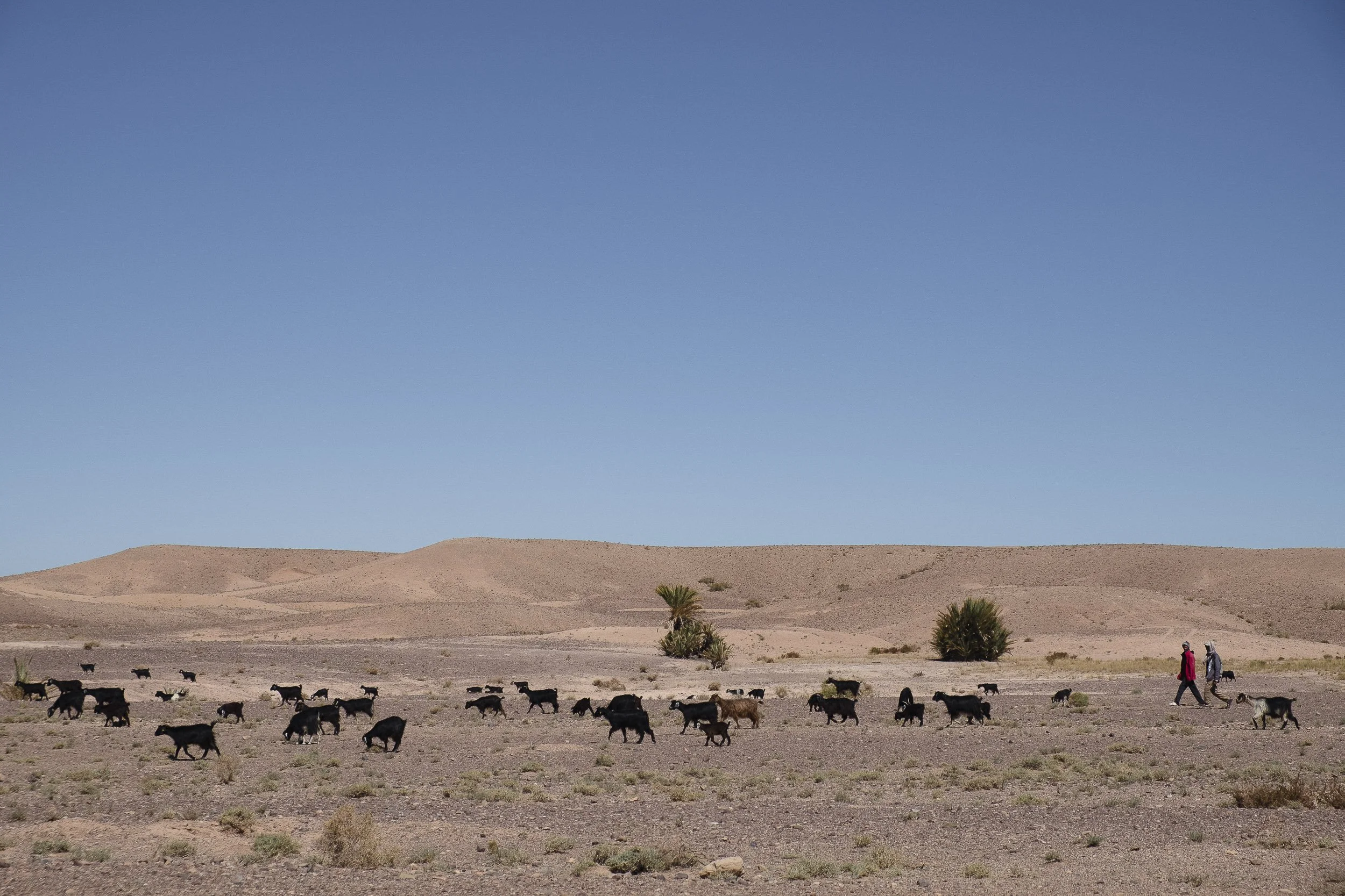 Maroc-2018 ©Julie Carpentier-159.jpg