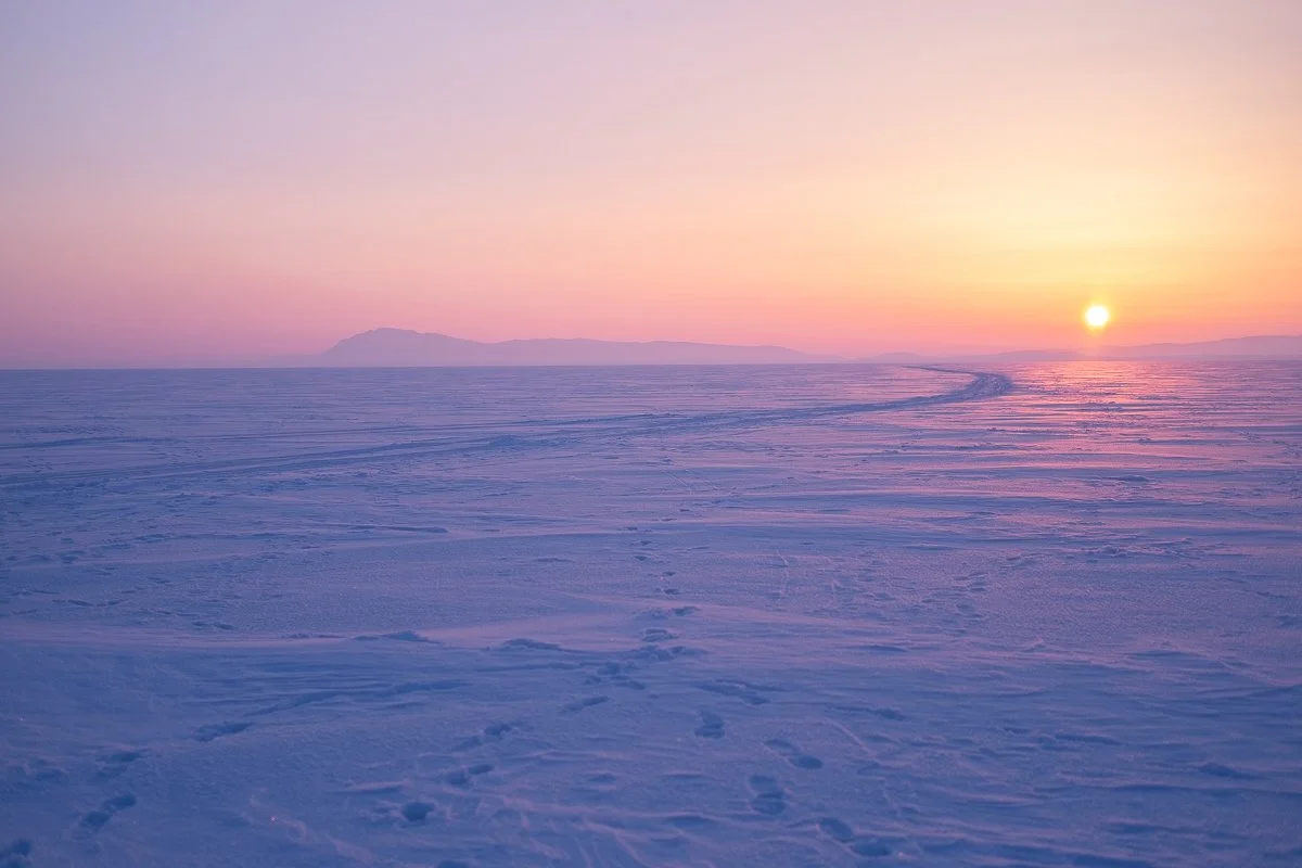 Julie Carpentier-7441.jpg