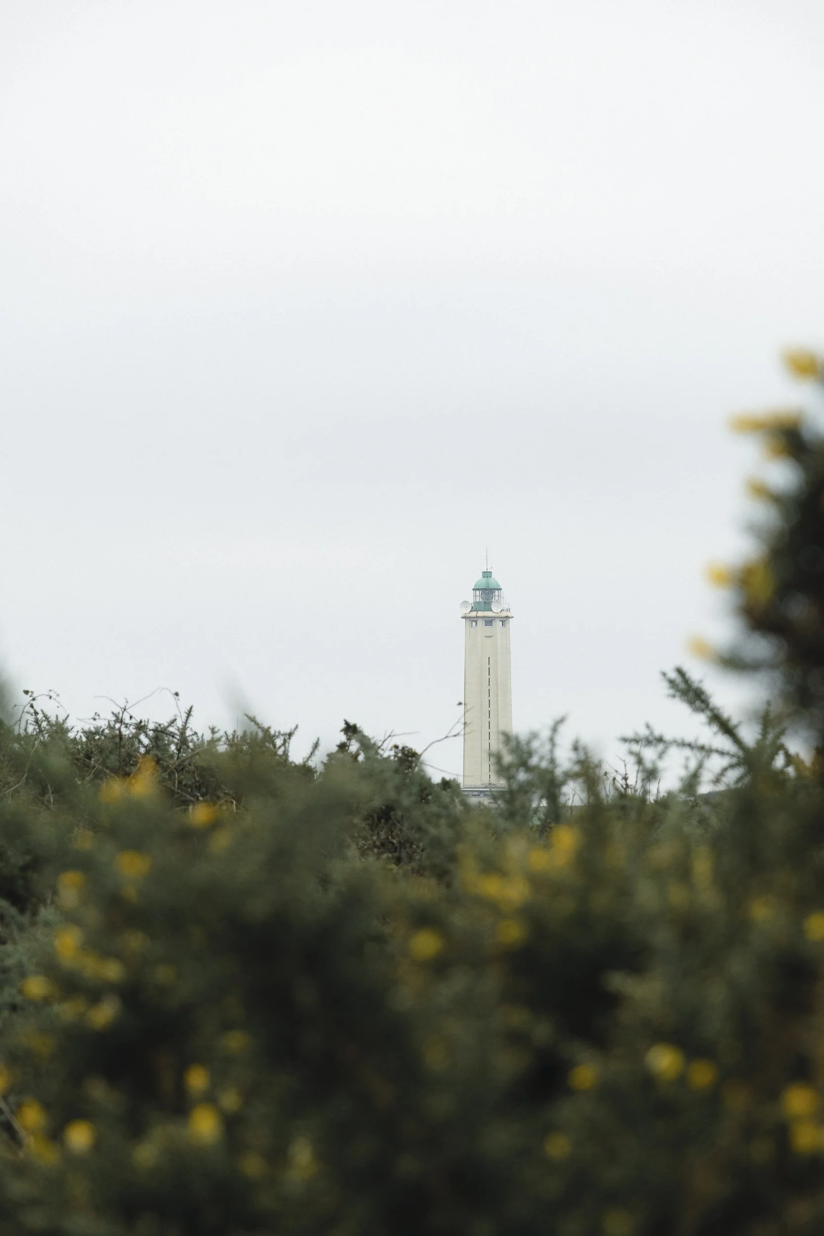 Cote Albatre©Julie Carpentier-2-2.jpg