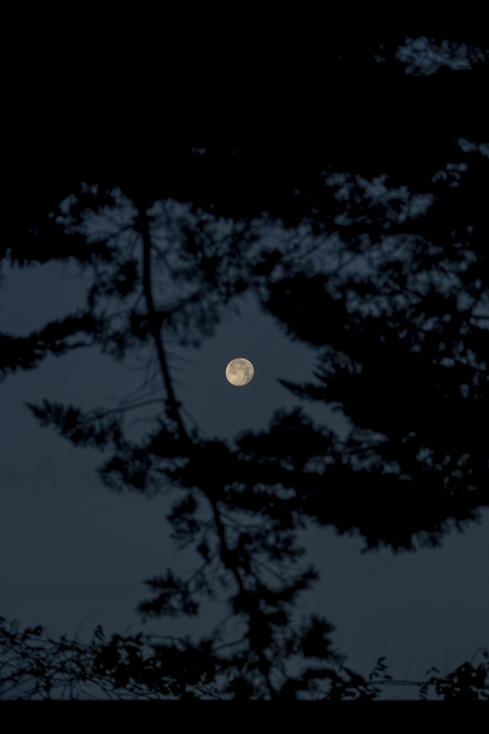 ©Julie Carpentier_dec 2025-.jpg