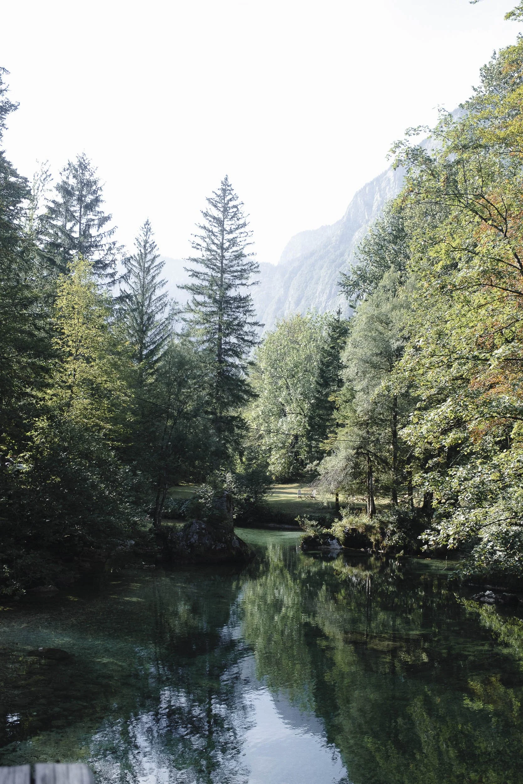 Slovenie 2022 ©Julie Carpentier-9.jpg