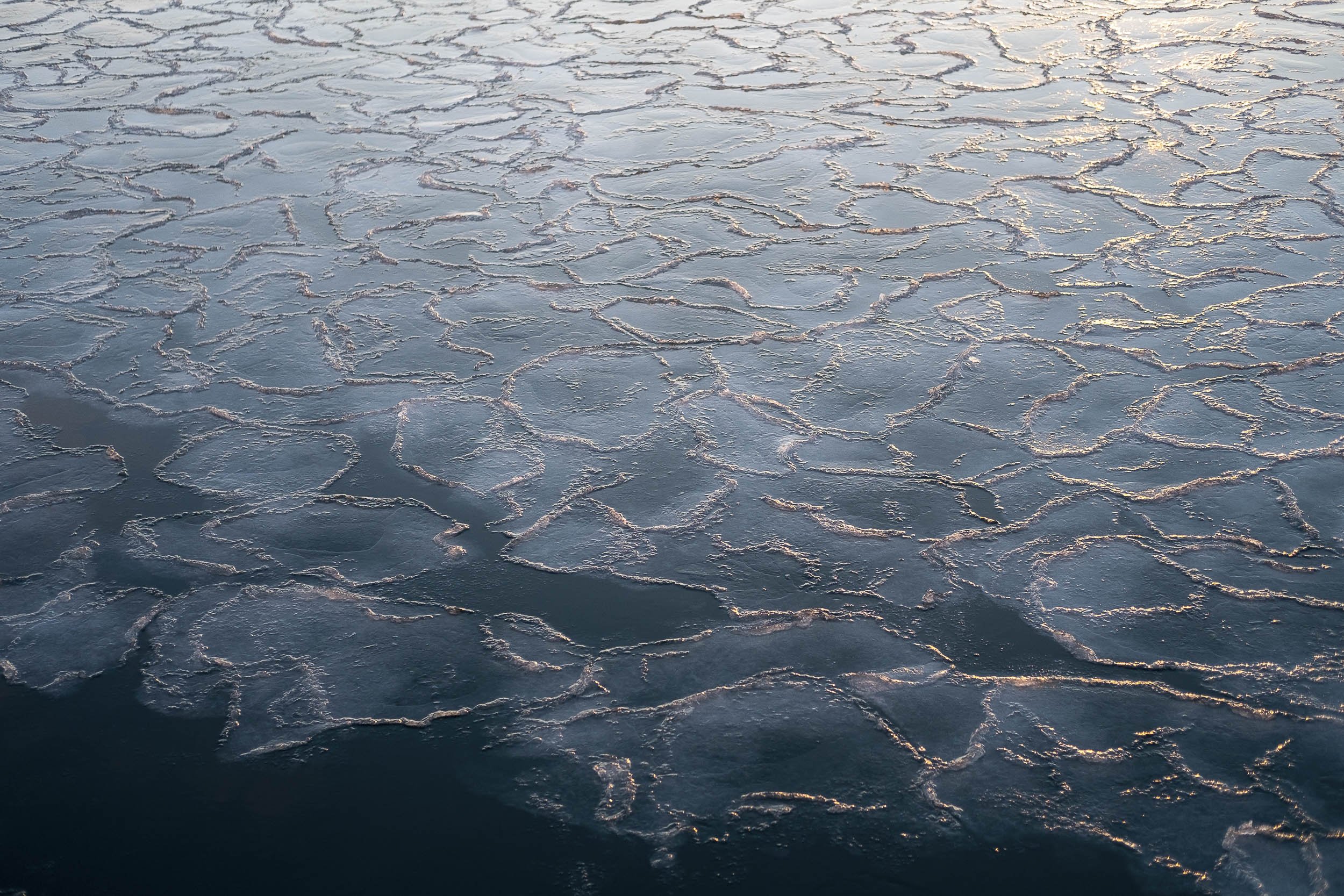 Svalbard-2017 ©Julie Carpentier-07.jpg
