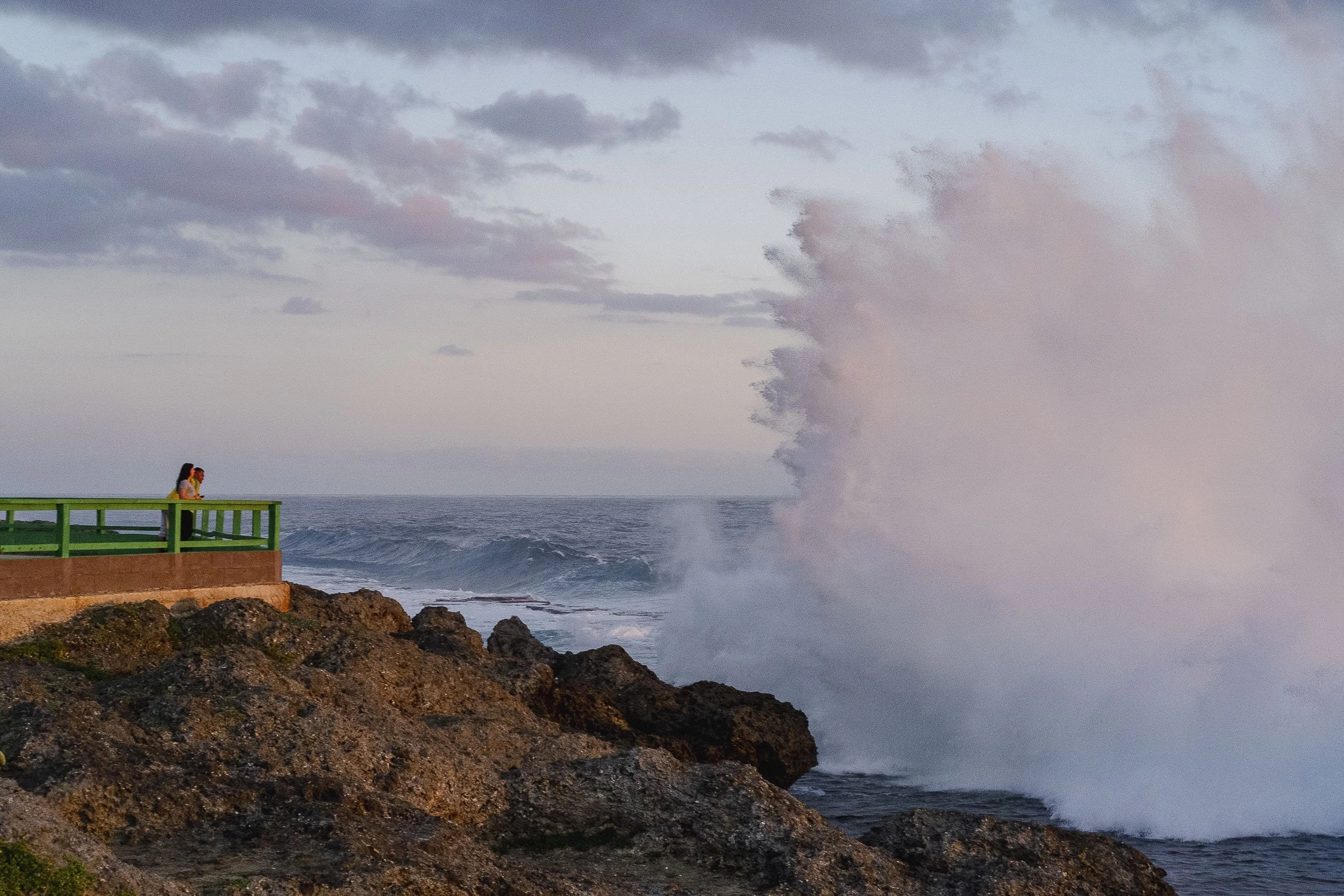 Tonga-2017 ©Julie Carpentier-19.jpg
