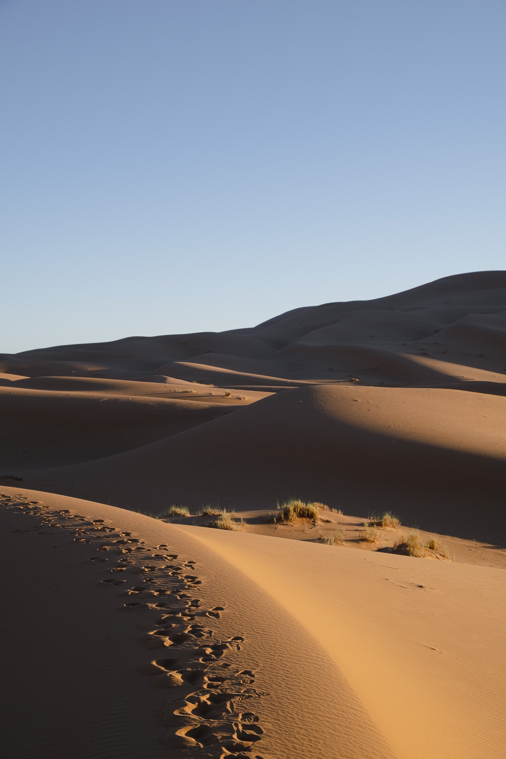 Maroc-2018 ©Julie Carpentier-125.jpg