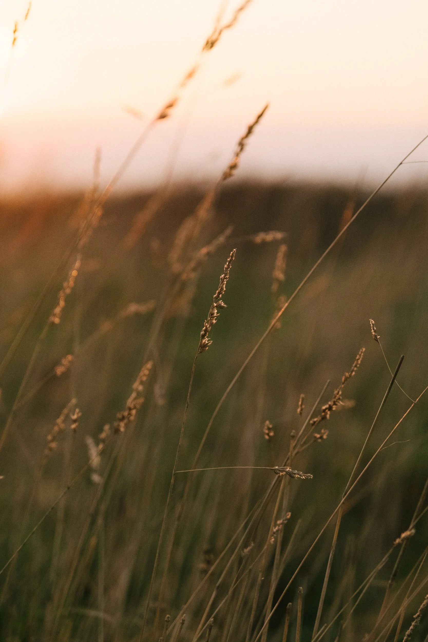 ©Julie Carpentier_dec 2025-9637.jpg