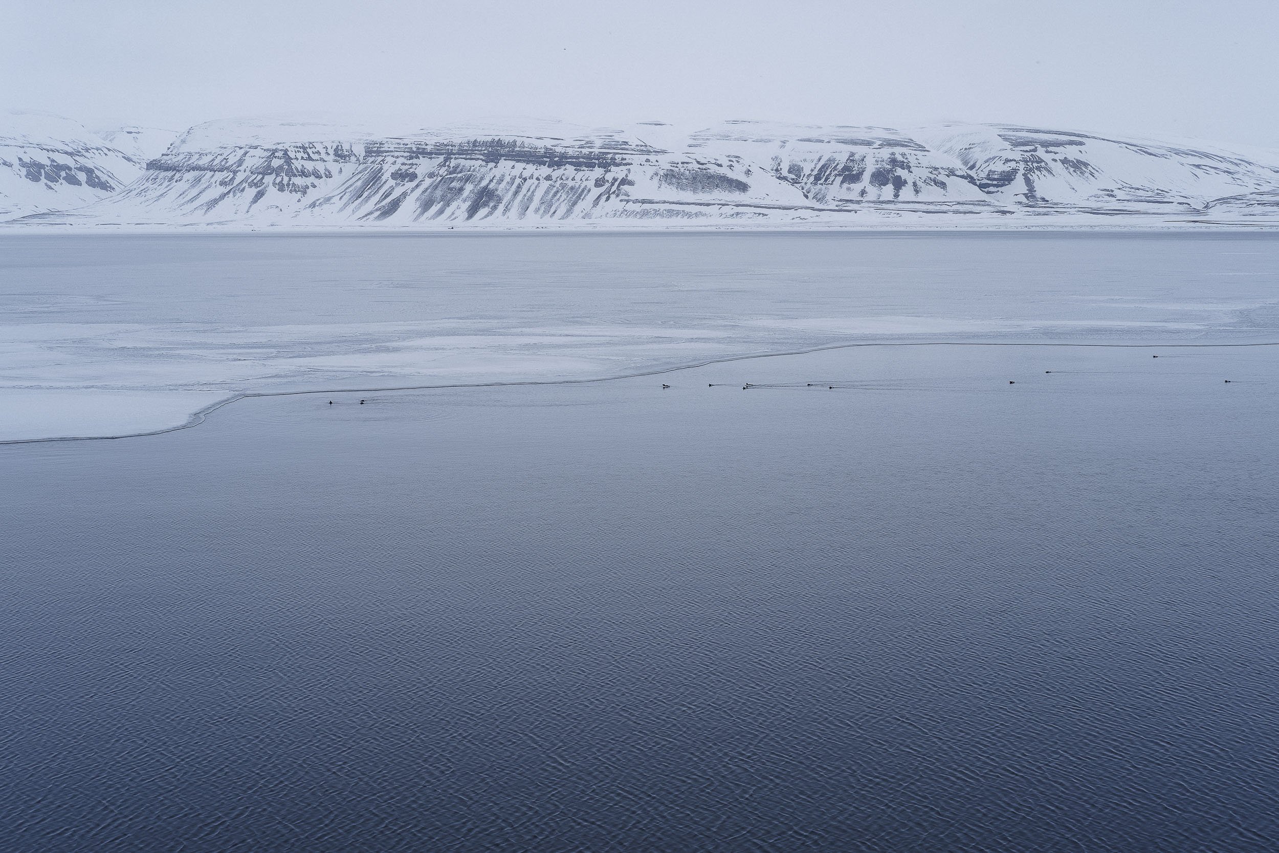 Svalbard-2017 ©Julie Carpentier-19.jpg