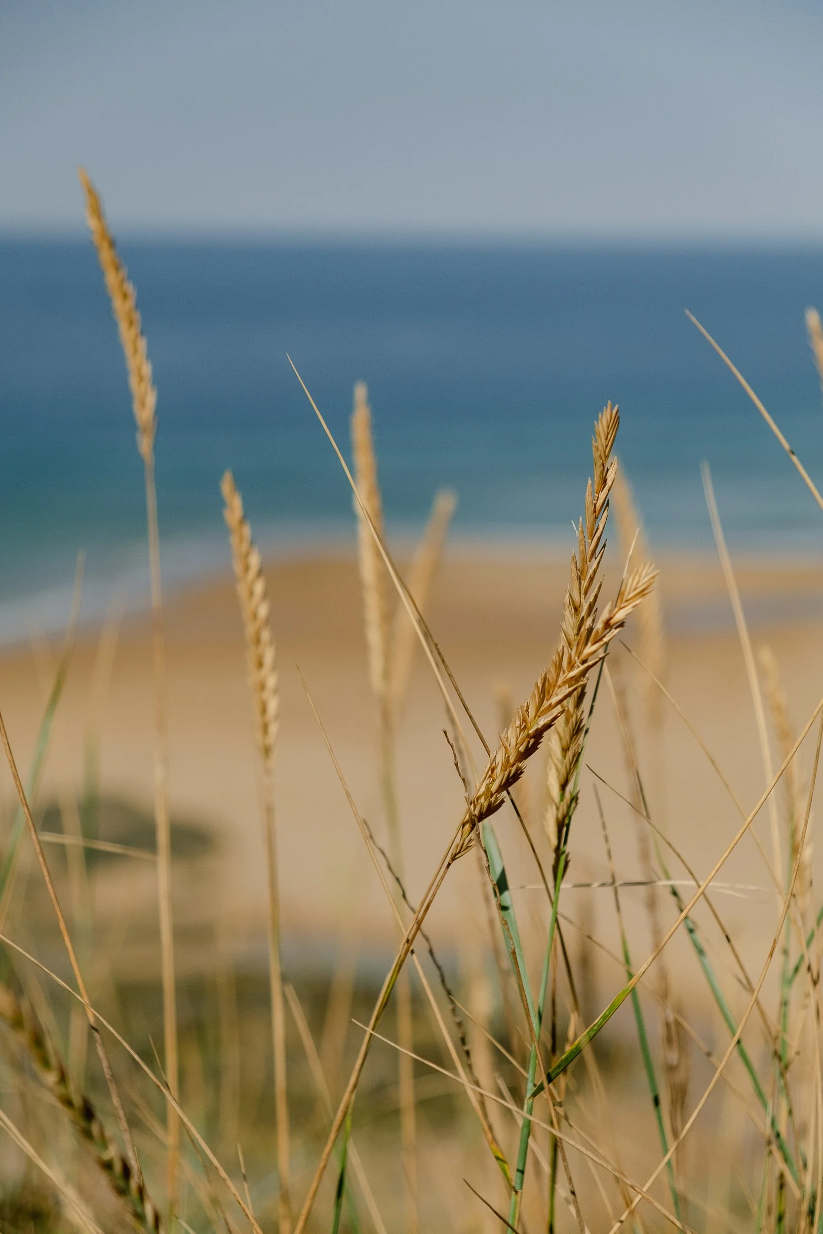Cotentin © Julie Carpentier_2026-8.jpg