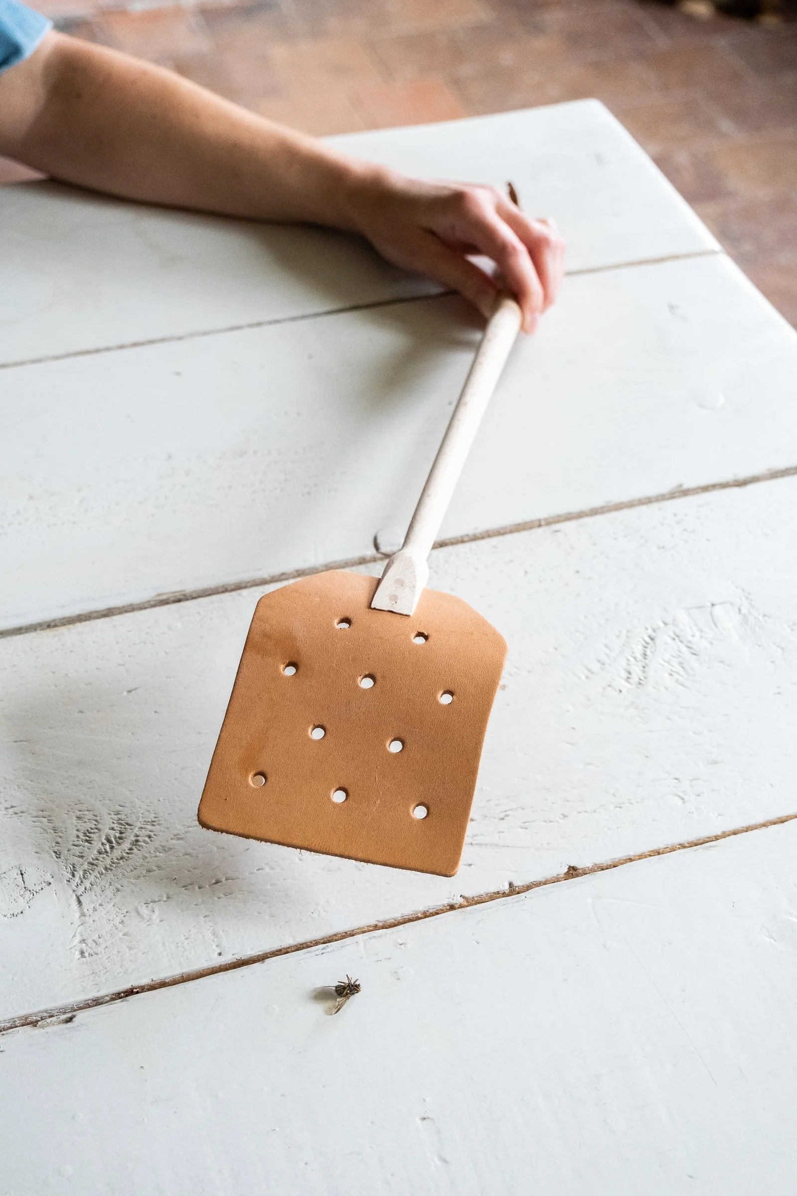 ©Wild North Studio_The Atelier Deco_457070.jpg