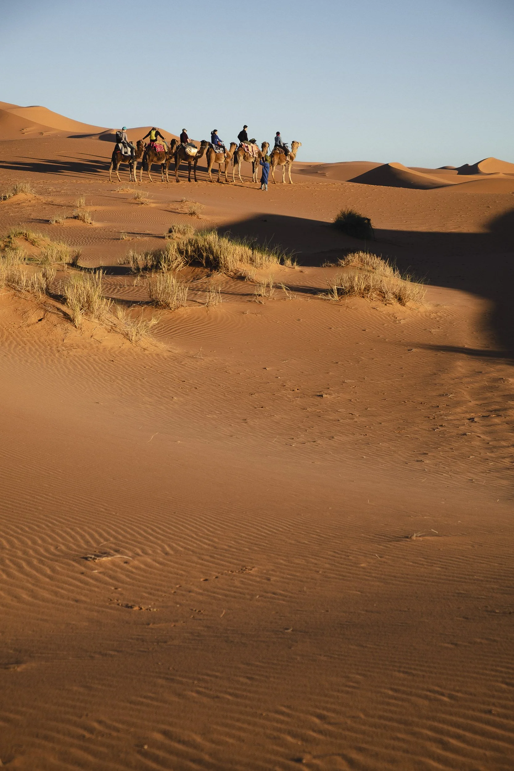 Maroc-2018 ©Julie Carpentier-126.jpg