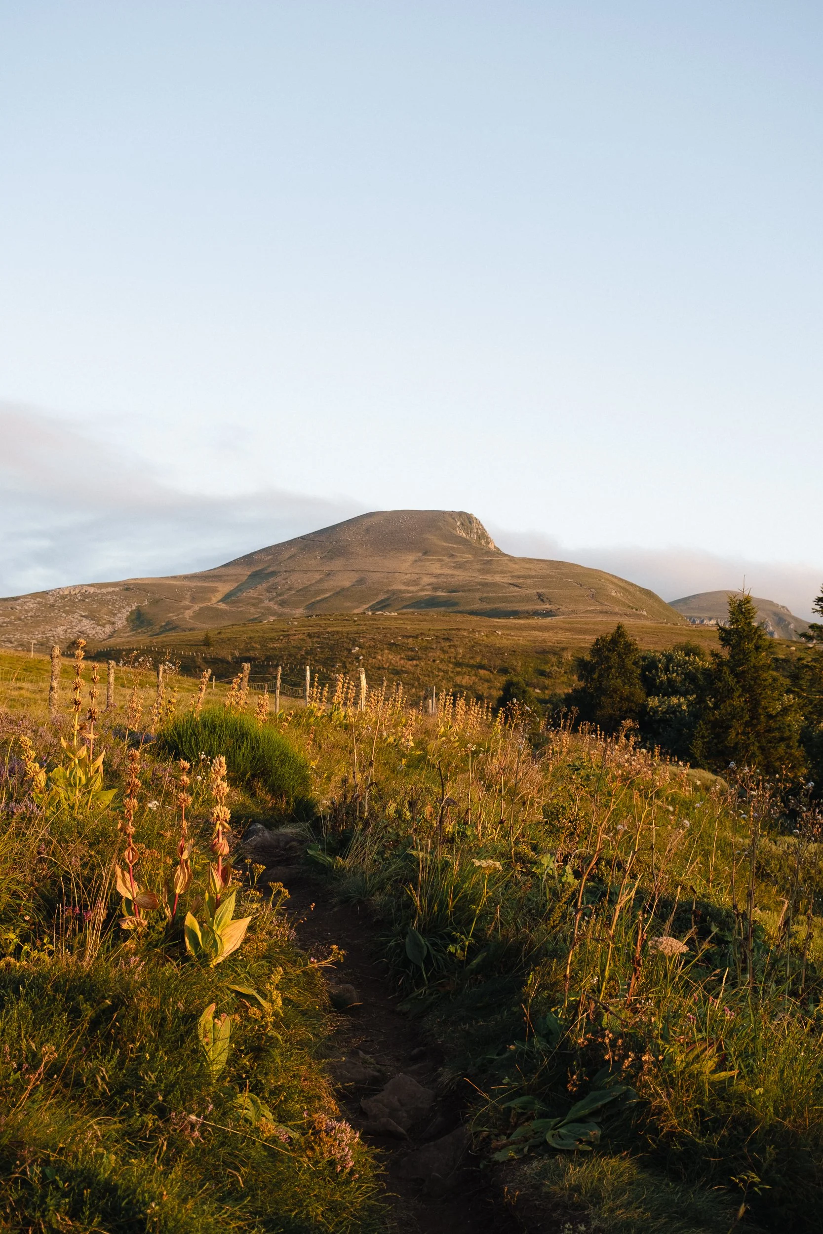 Auvergne © Julie Carpentier_2026-47.jpg