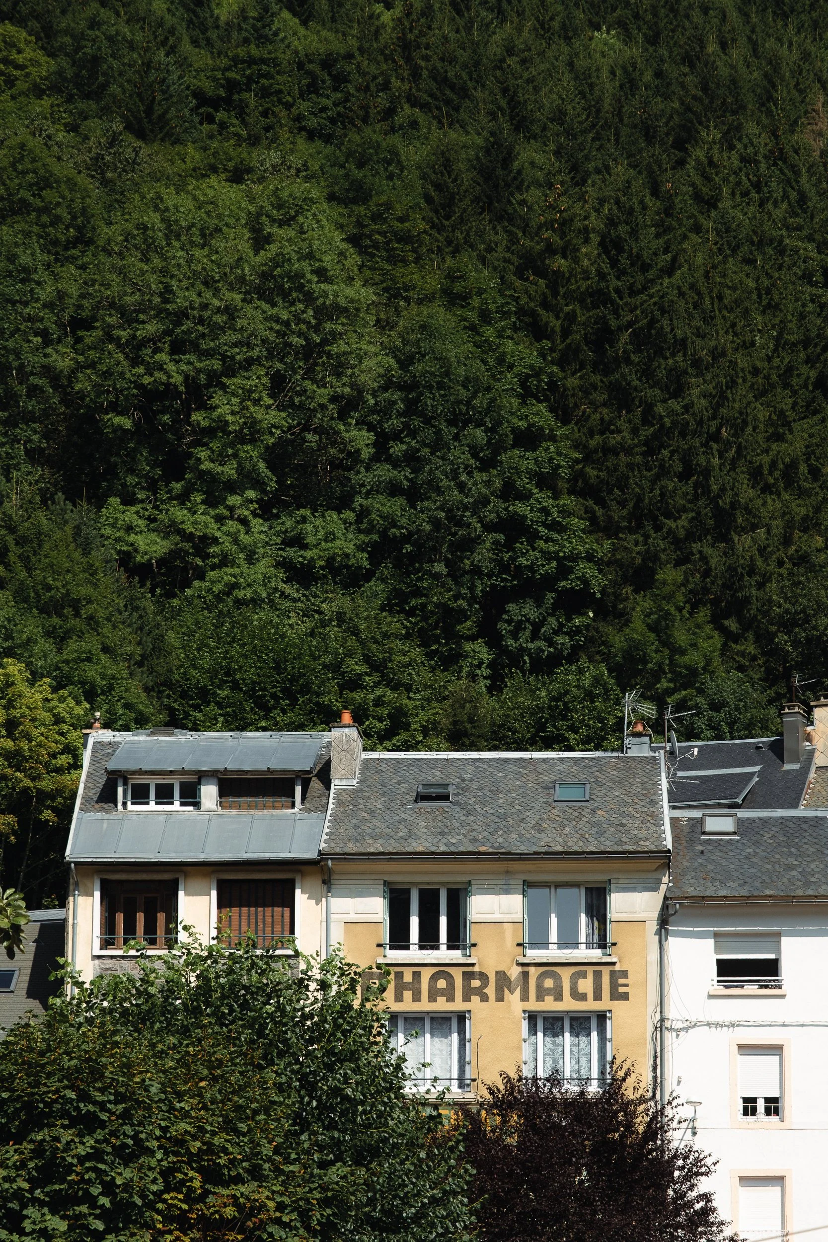 Auvergne © Julie Carpentier_2026-21.jpg