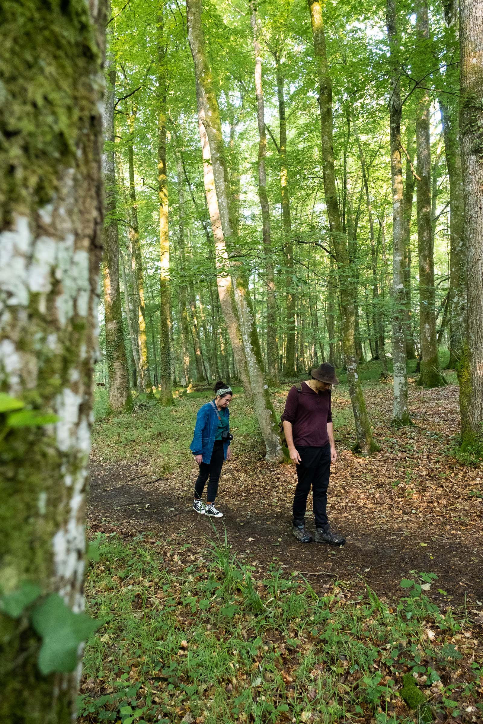 ©Julie Carpentier_Wild North Studio_Sylvotherapie_2021-9302.jpg