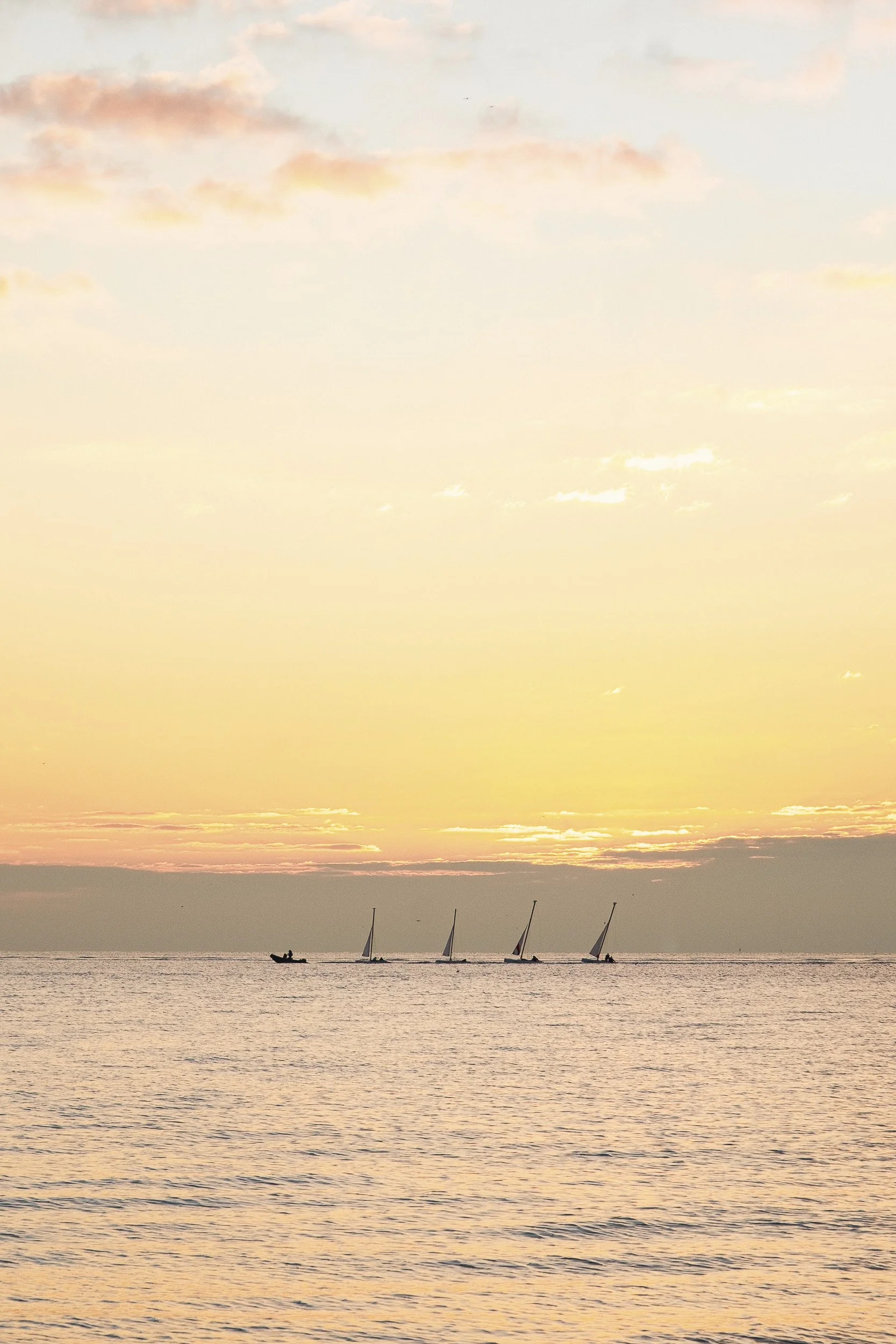 Le Havre-2021©Julie Carpentier-3.jpg