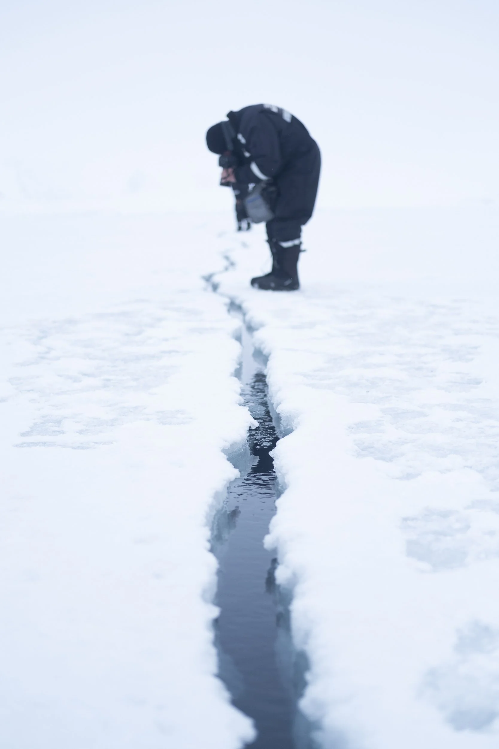 Svalbard-2017 ©Julie Carpentier-9854.jpg