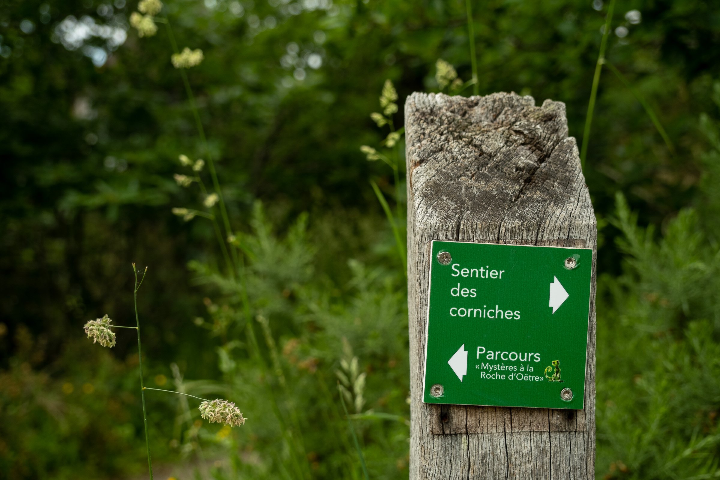 ©Julie Carpentier_Wild North Studio_La Roche Oetre_2021-1072.jpg