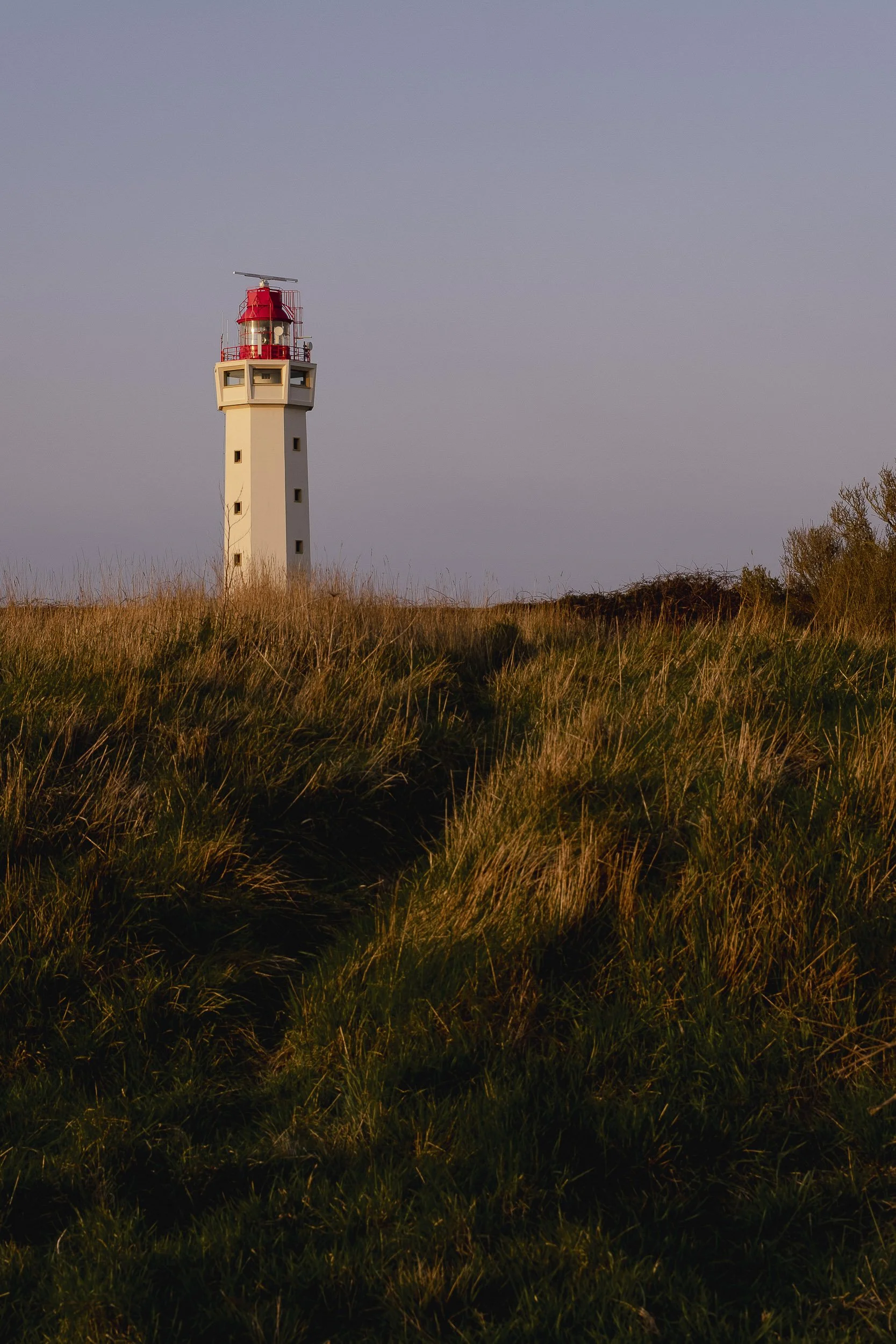 Cote Albatre©Julie Carpentier-44.jpg