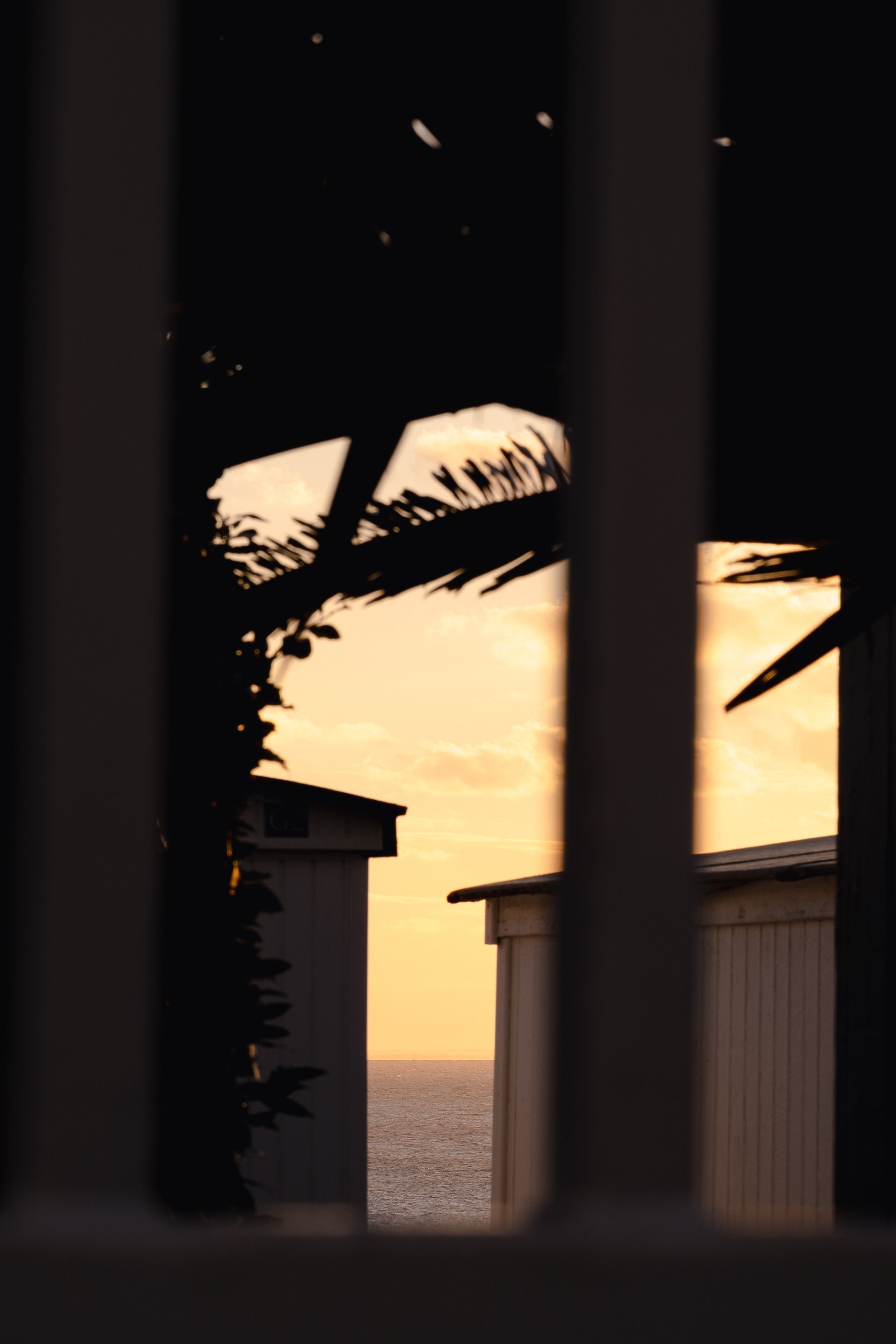 Le Havre © Julie Carpentier_2026-83.jpg