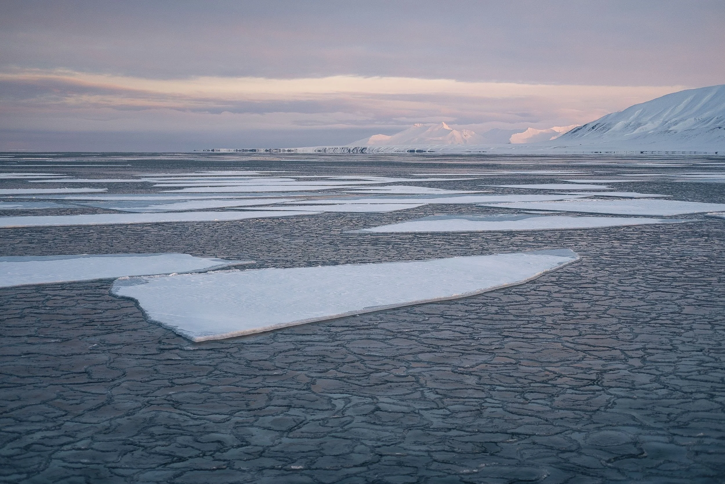 Svalbard-2017 ©Julie Carpentier-08.jpg