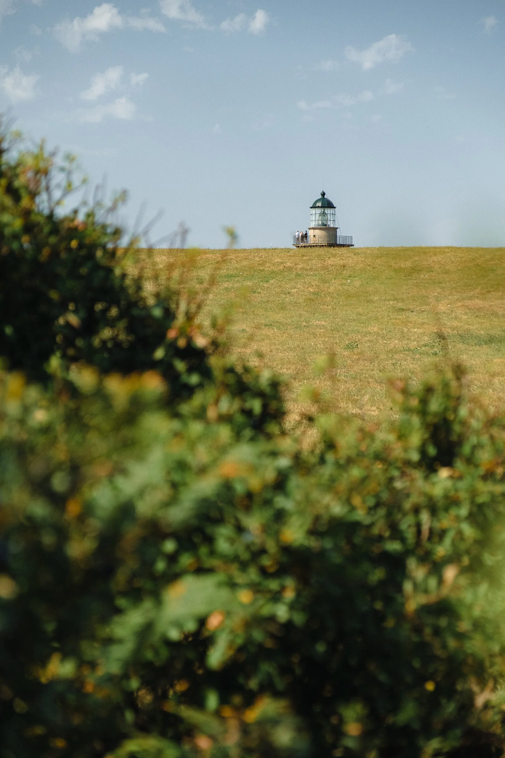 Cotentin © Julie Carpentier_2026-5.jpg