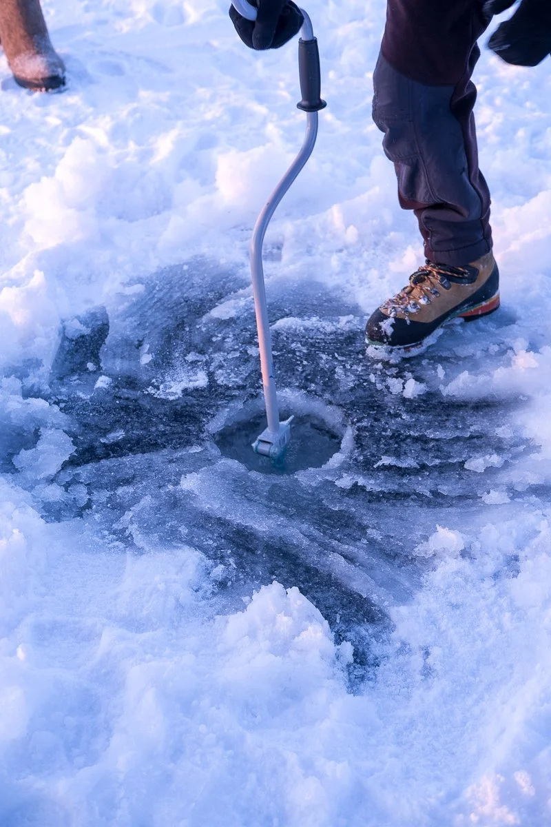 Julie Carpentier-7418.jpg