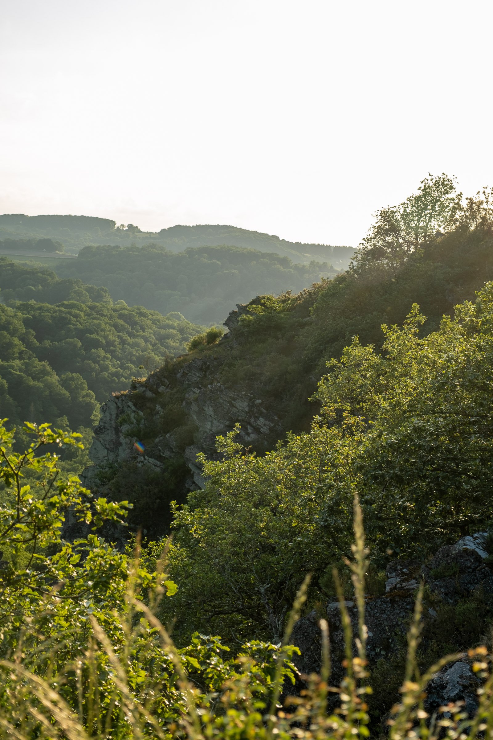 ©Julie Carpentier_Wild North Studio_La Roche Oetre_2021-3355.jpg