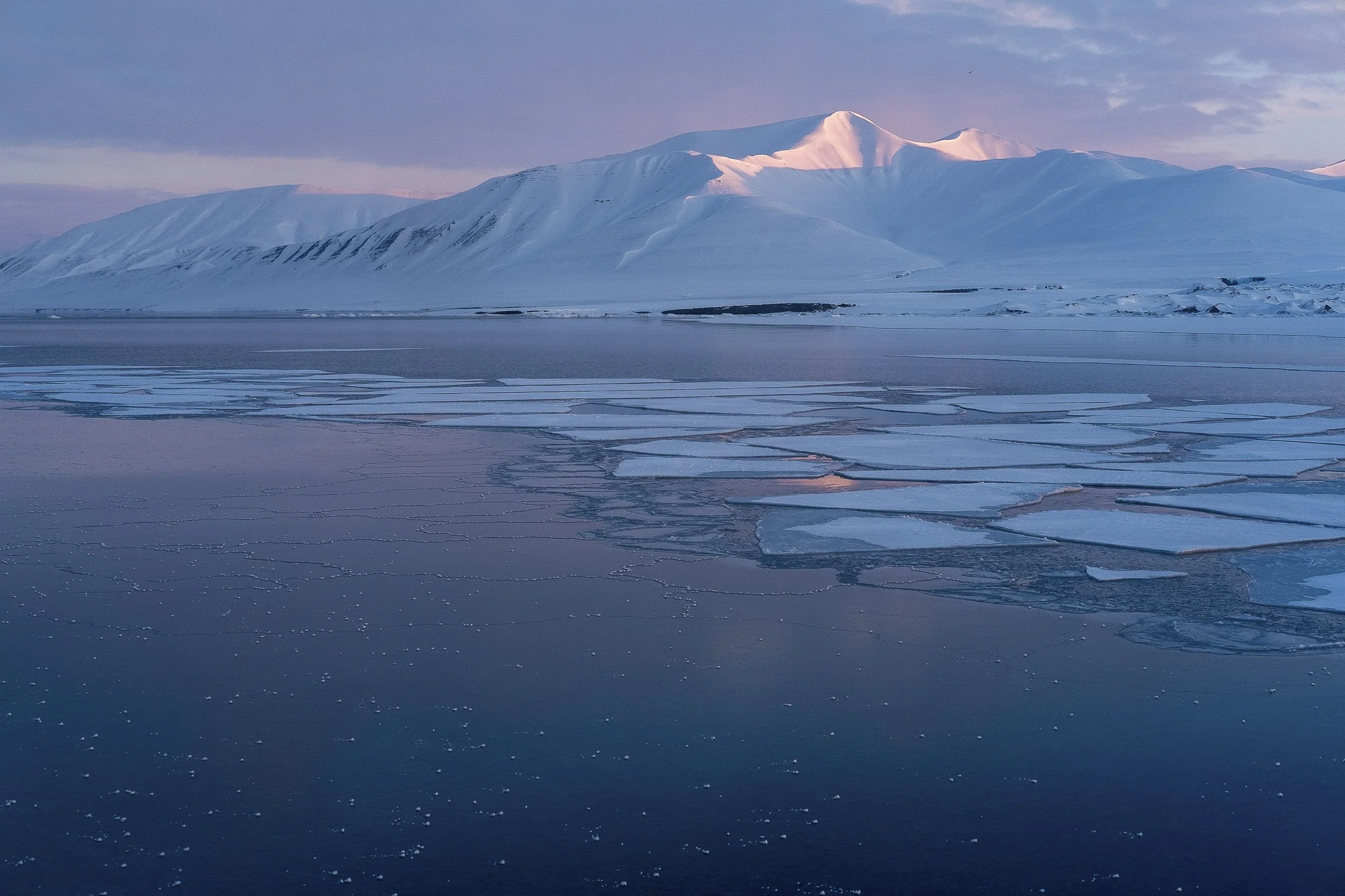 Svalbard-2017 ©Julie Carpentier-10.jpg