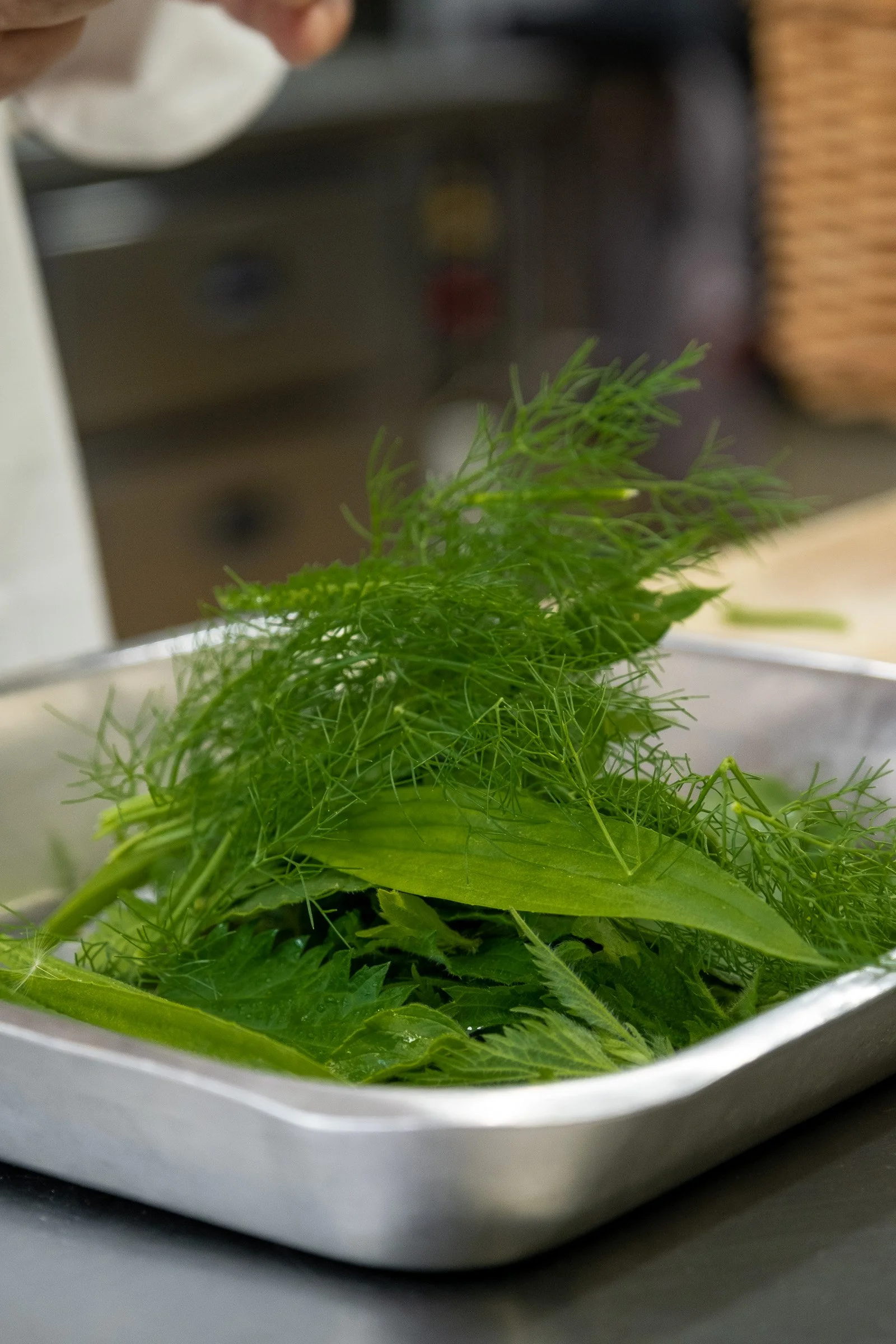 ©Julie Carpentier_Wild North Studio_Manoir du Lys_2021-2641.jpg