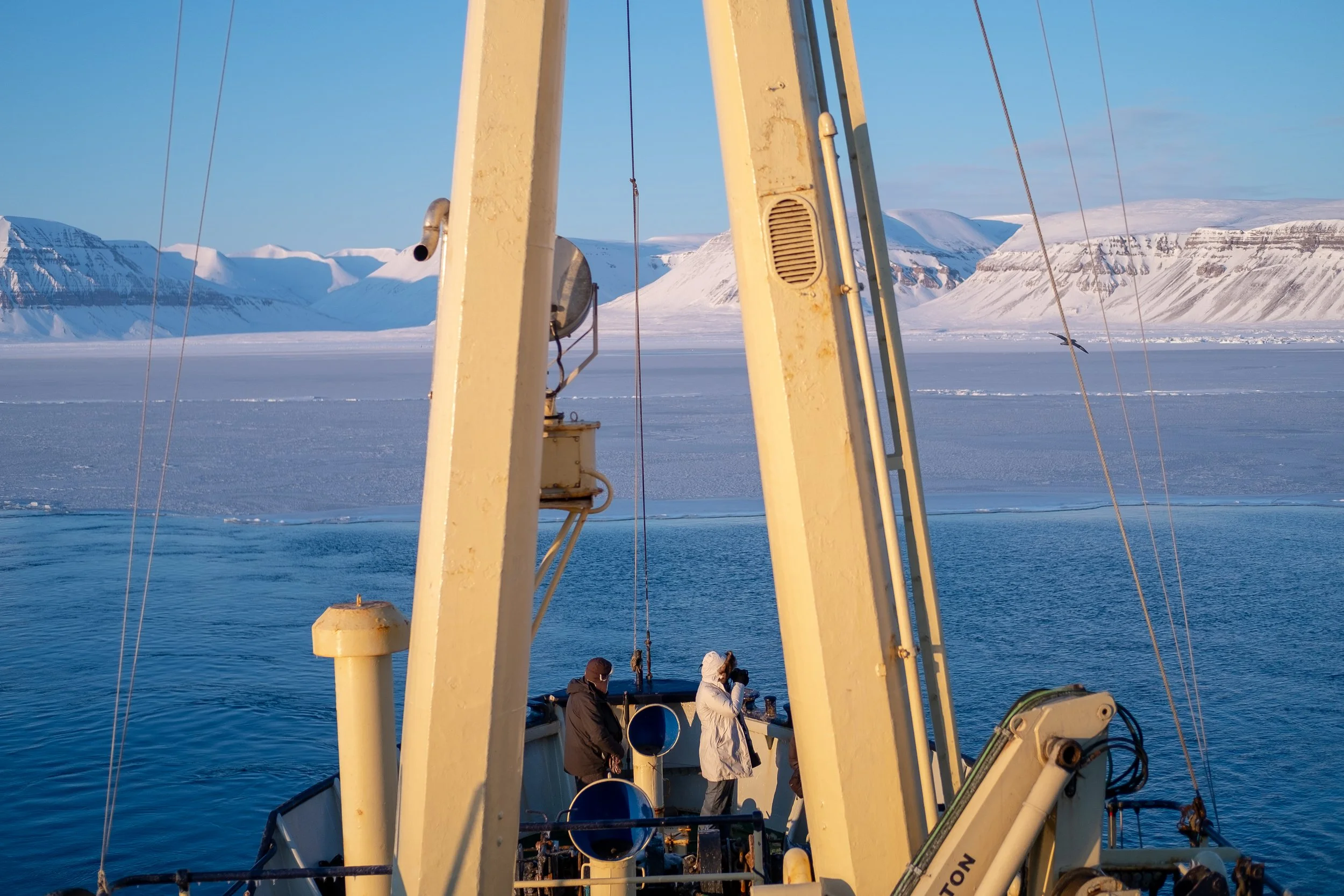 julie carpentier-8322.JPG