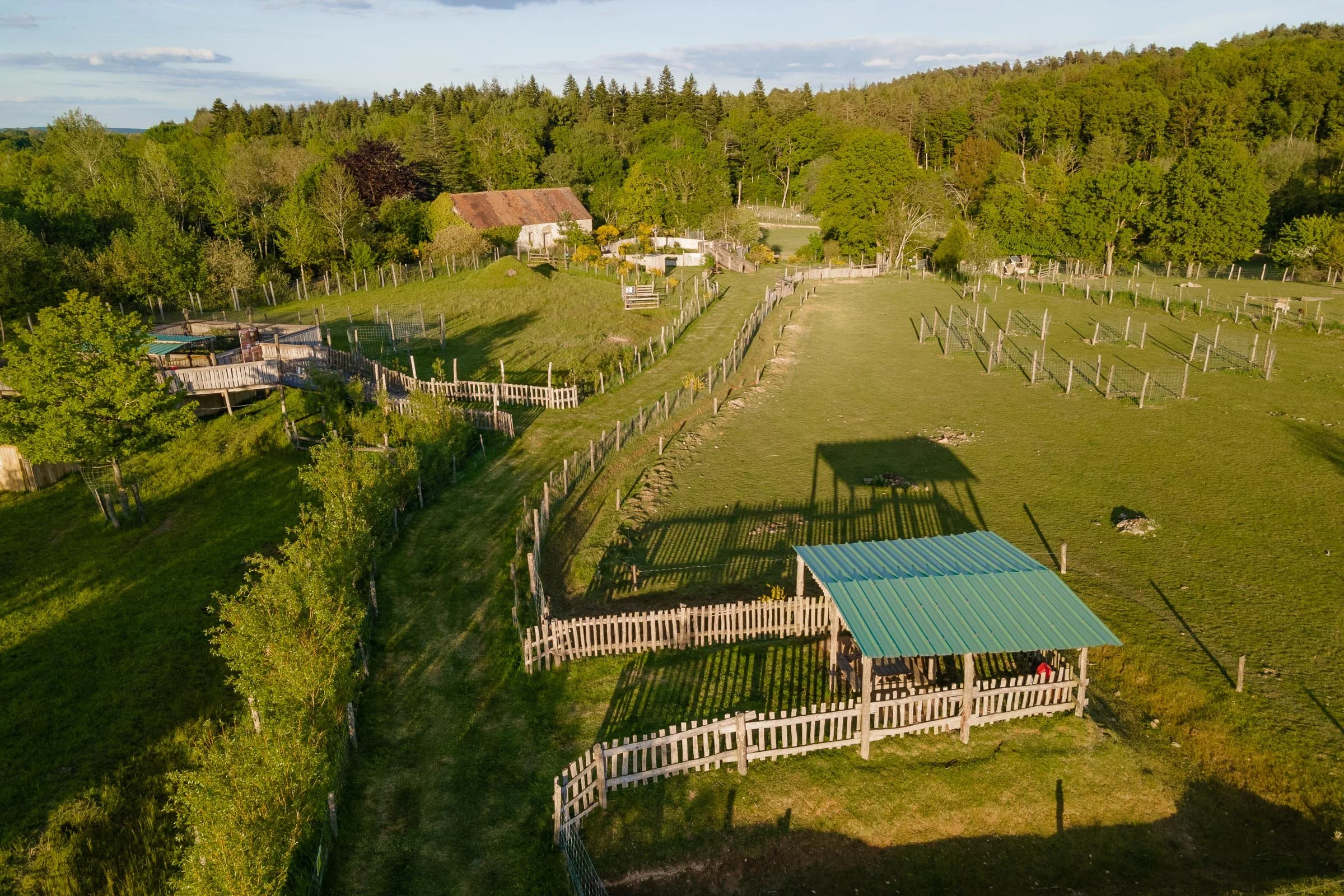 ©Julie Carpentier_Wild North Studio_Parc Animalier Ecouves_2021-0084.jpg