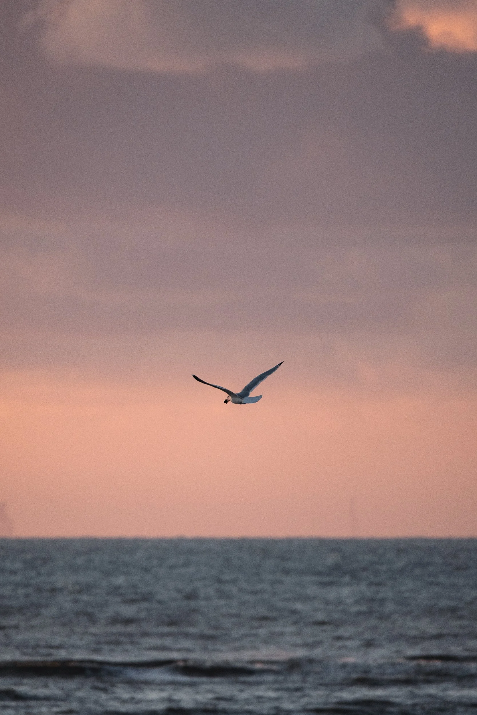 Le Havre © Julie Carpentier_2026-70.jpg