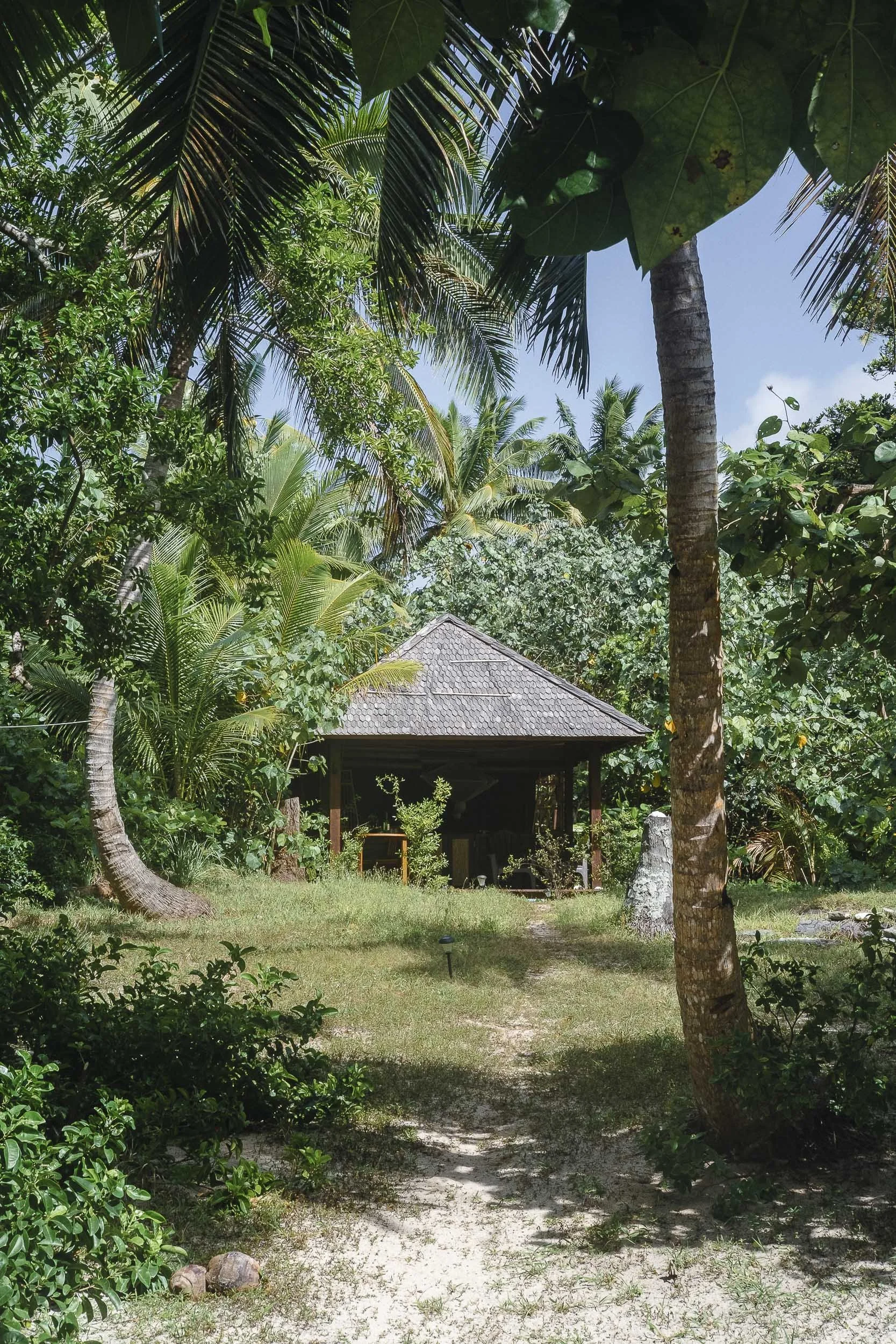 Tonga-2017 ©Julie Carpentier-54.jpg