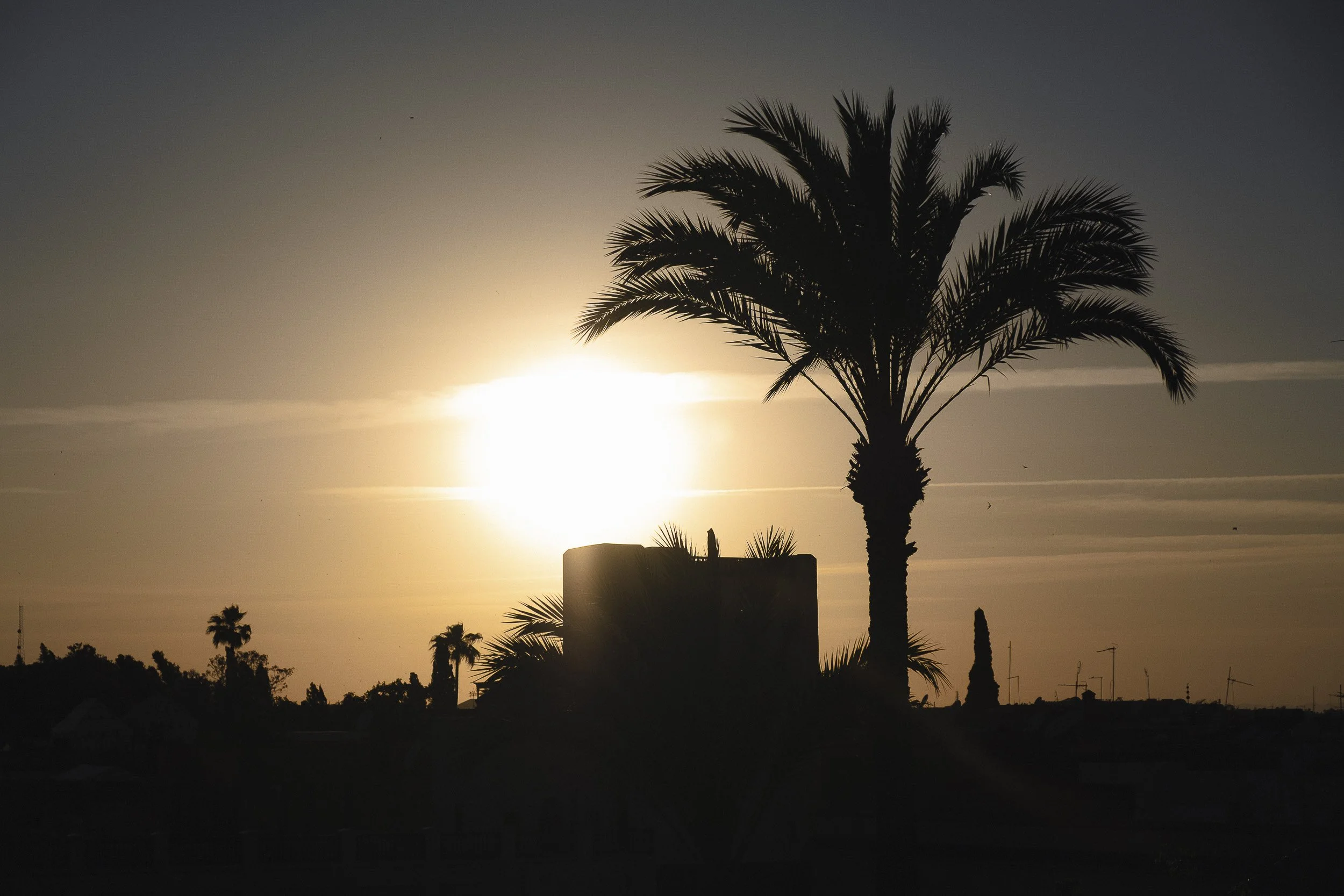 Maroc-2018 ©Julie Carpentier-75.jpg