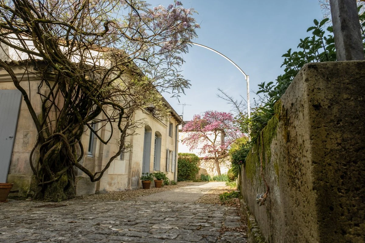 Julie Carpentier-Wild North Studio-Maison Natale François Mitterrand-05.jpg