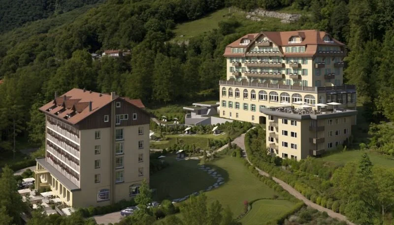 Hospitality - Award Winning Swiss Alpine Hotel