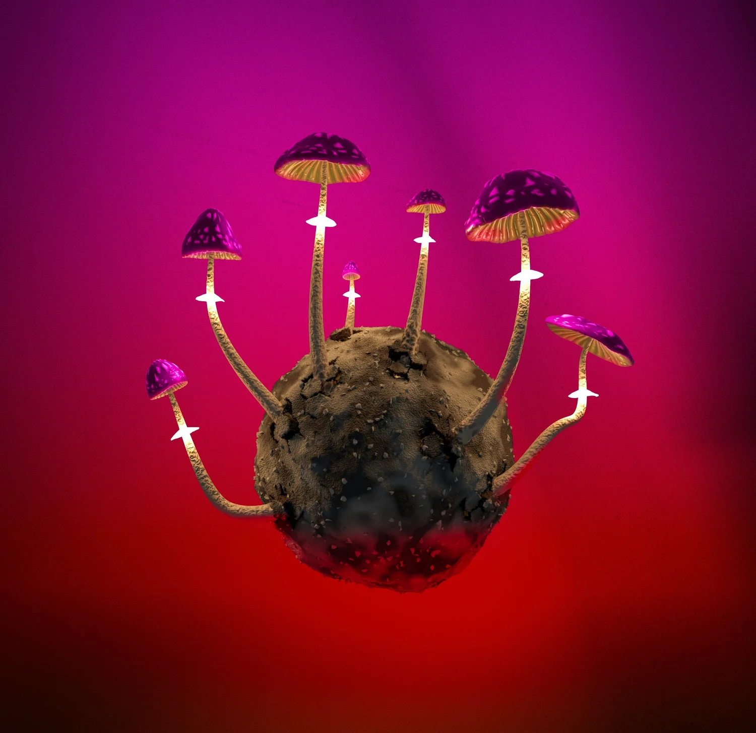Healing with Psychedelics? A Conversation with Bárbara Messias