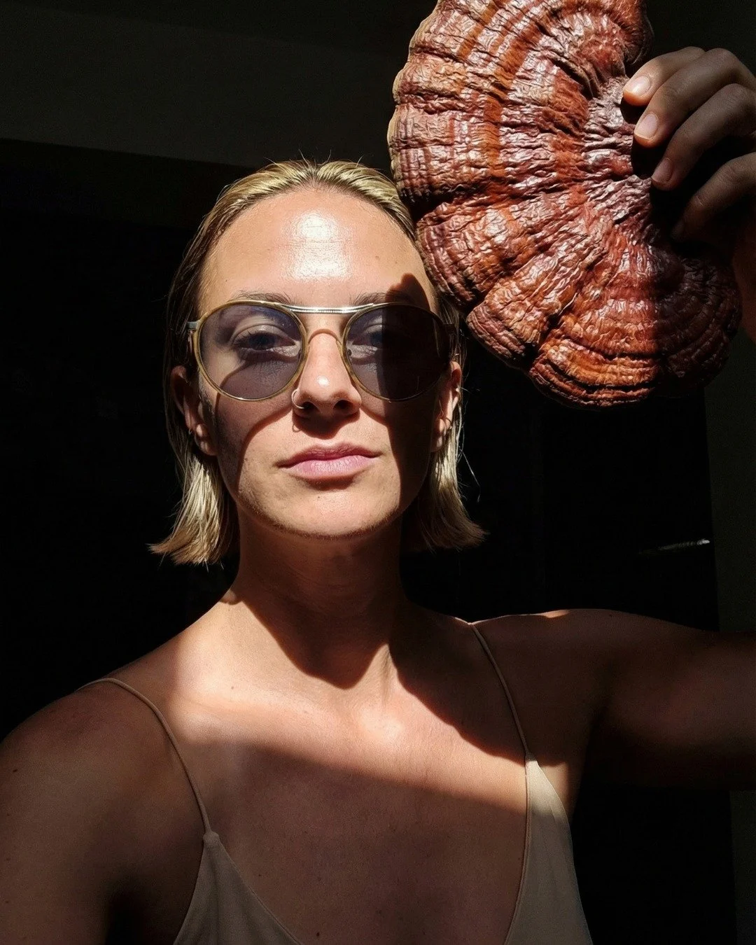 Functional Mushrooms, Urban Farming and the Future of Wellness in Portugal.