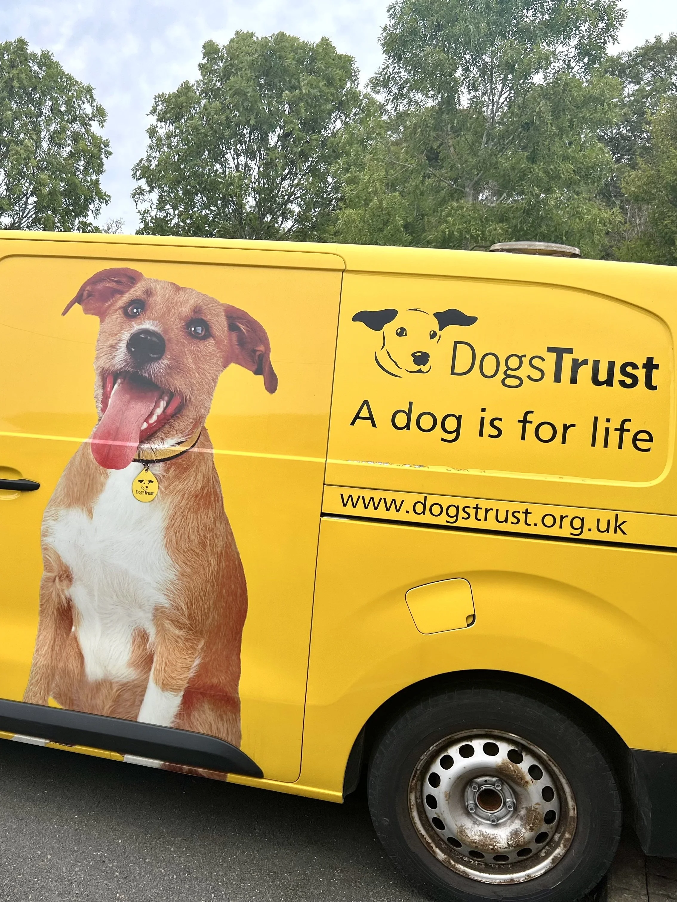 dogs-trust-van-loughborough.jpg