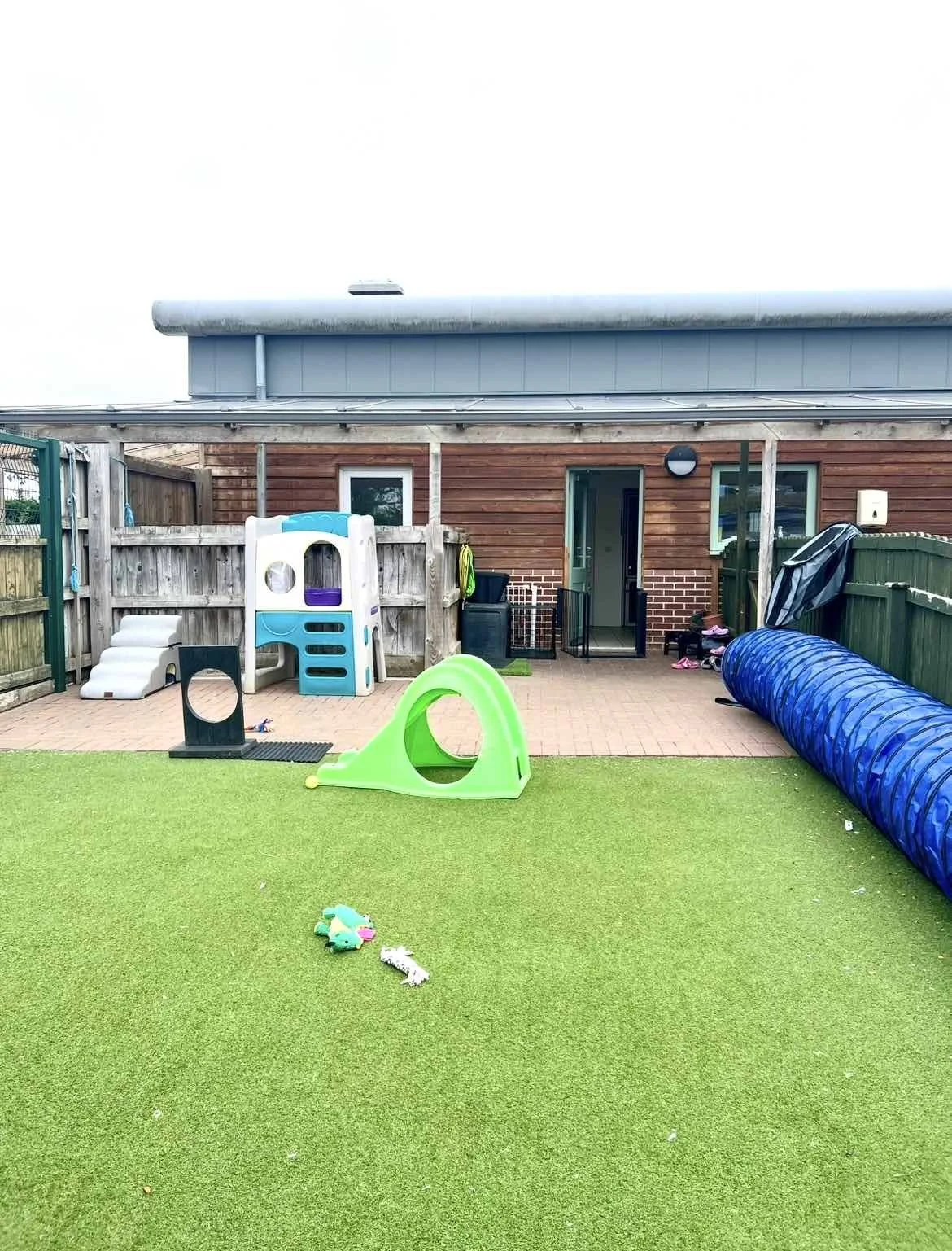 puppy-play-dogs-trust-loughborough.jpg