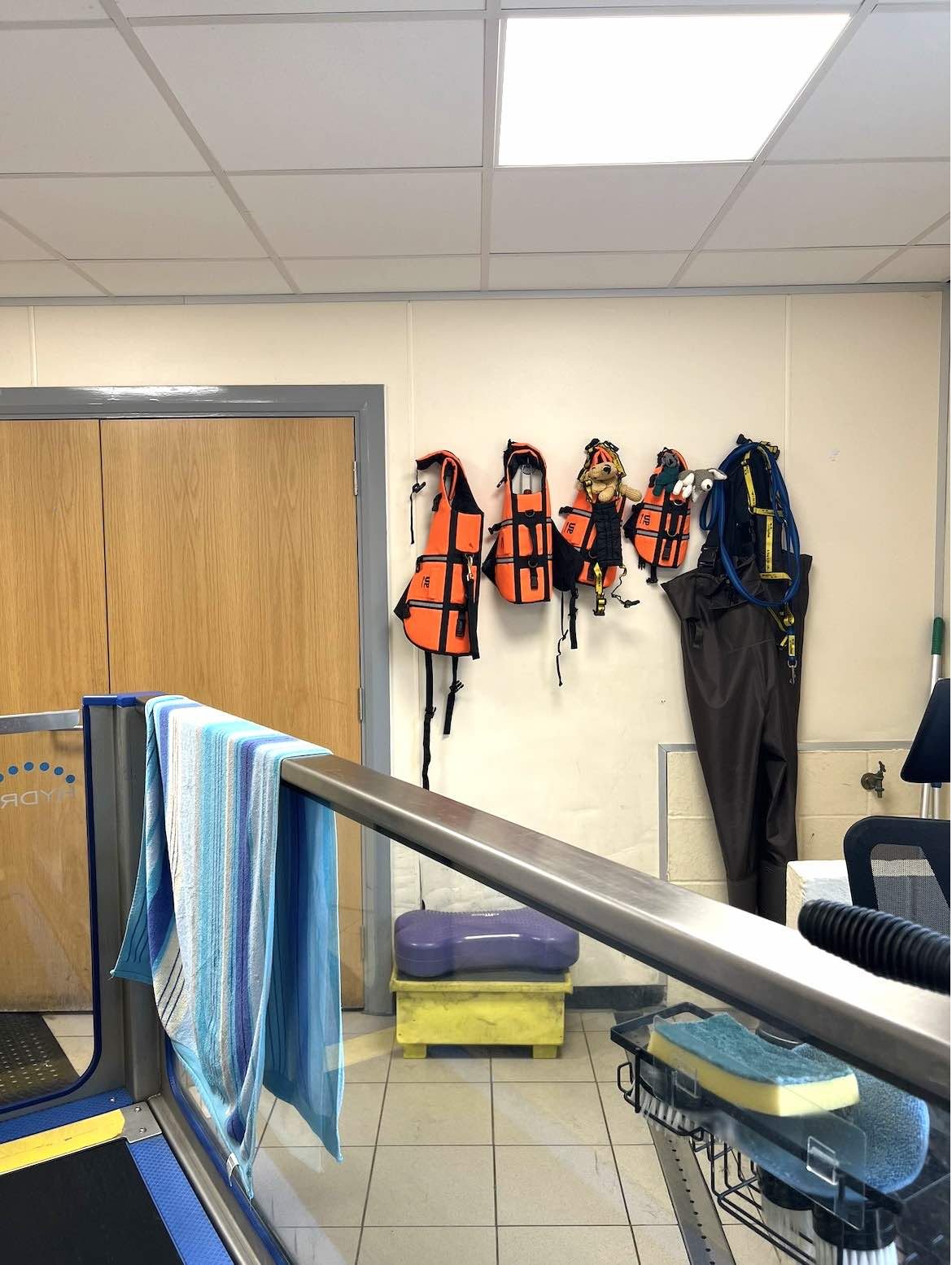 hydrotherapy-dogs-trust-loughborough.jpg