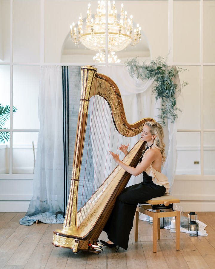 Soraya Vermeulen · Harpist