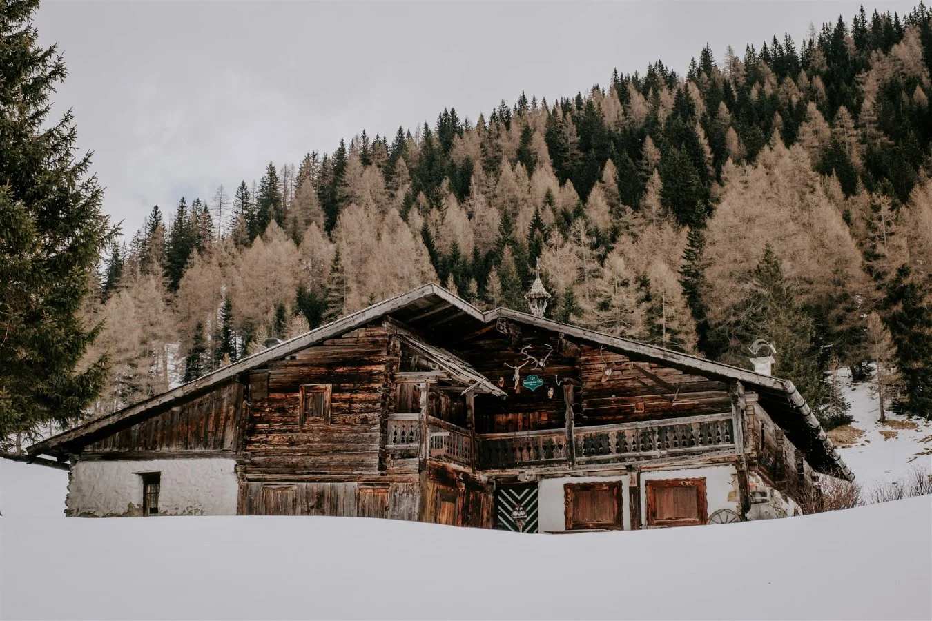 austrian-elopement-wedding-wild-connection-photography-fizzydo-46.jpg