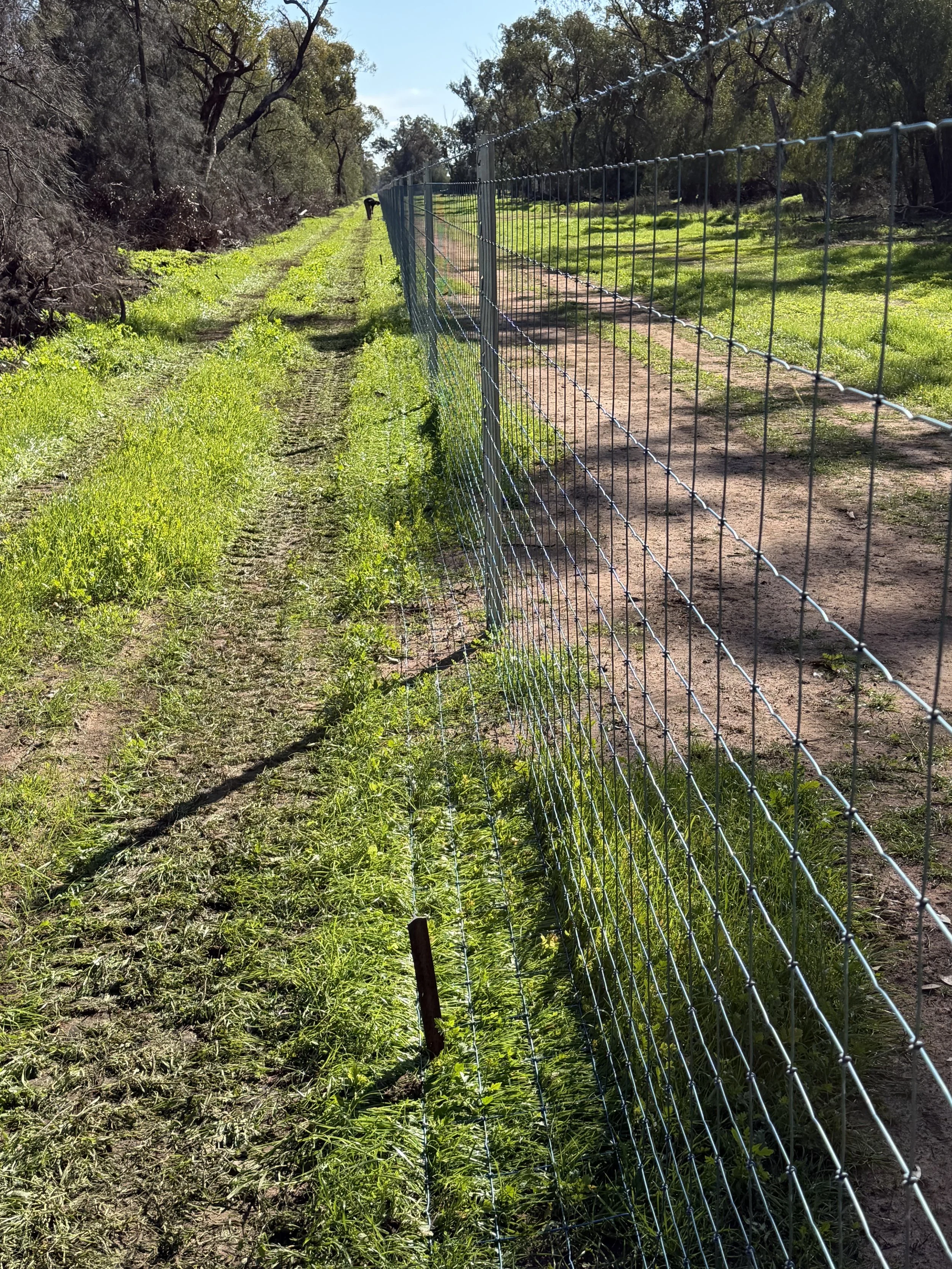 Exclusion Fence near Trangie and Narromine NSW